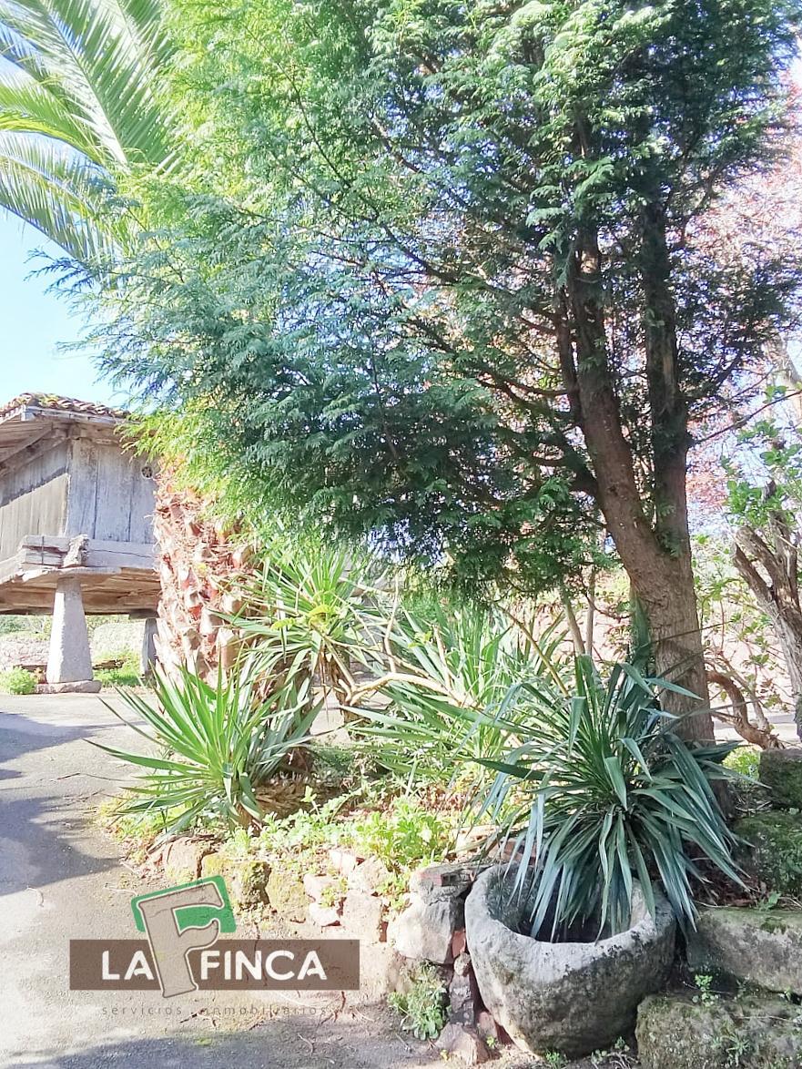 Venta de casa en Villaviciosa