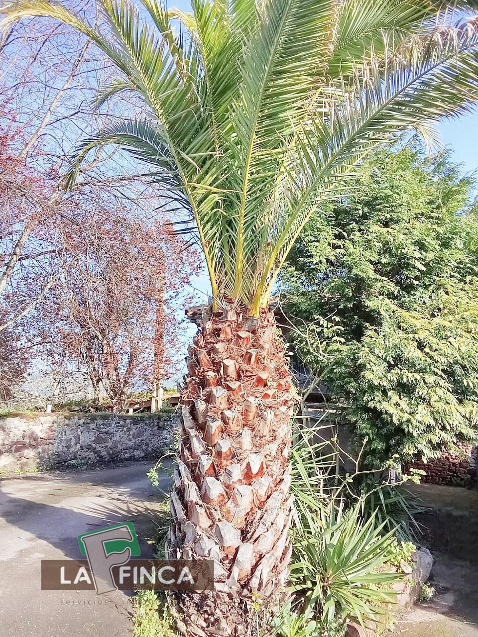 Venta de casa en Villaviciosa