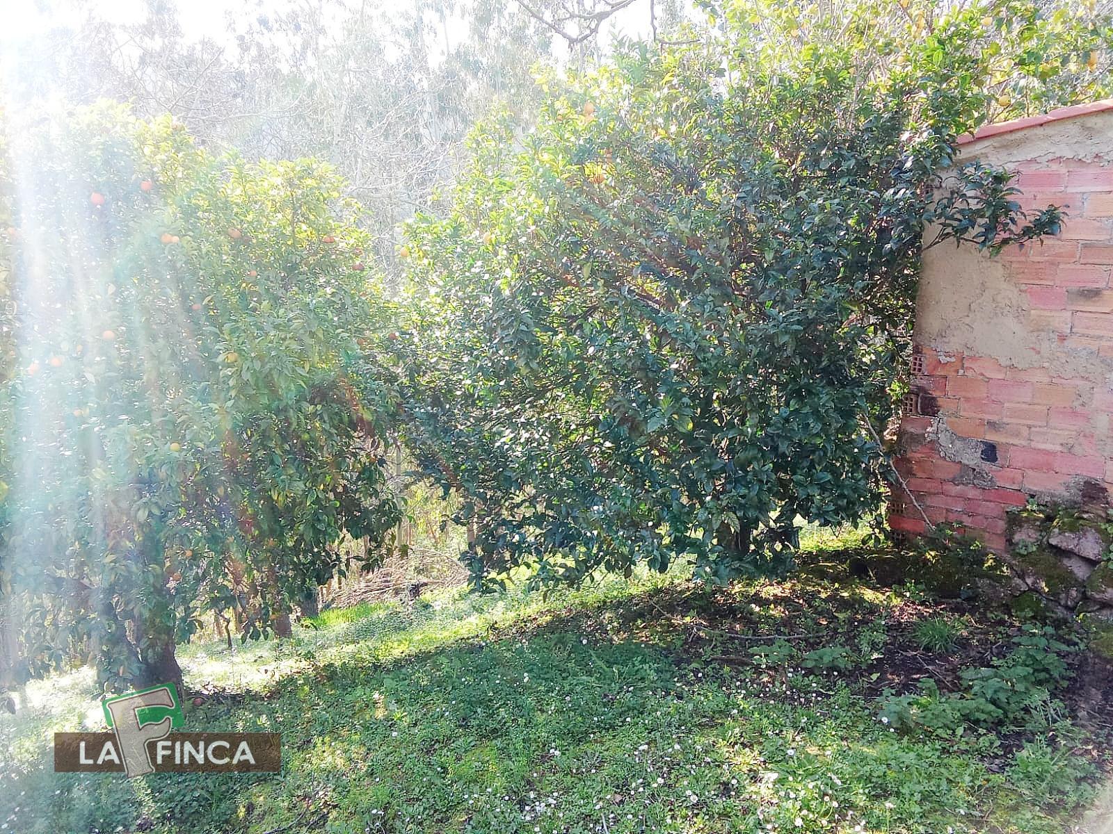 Venta de casa en Villaviciosa