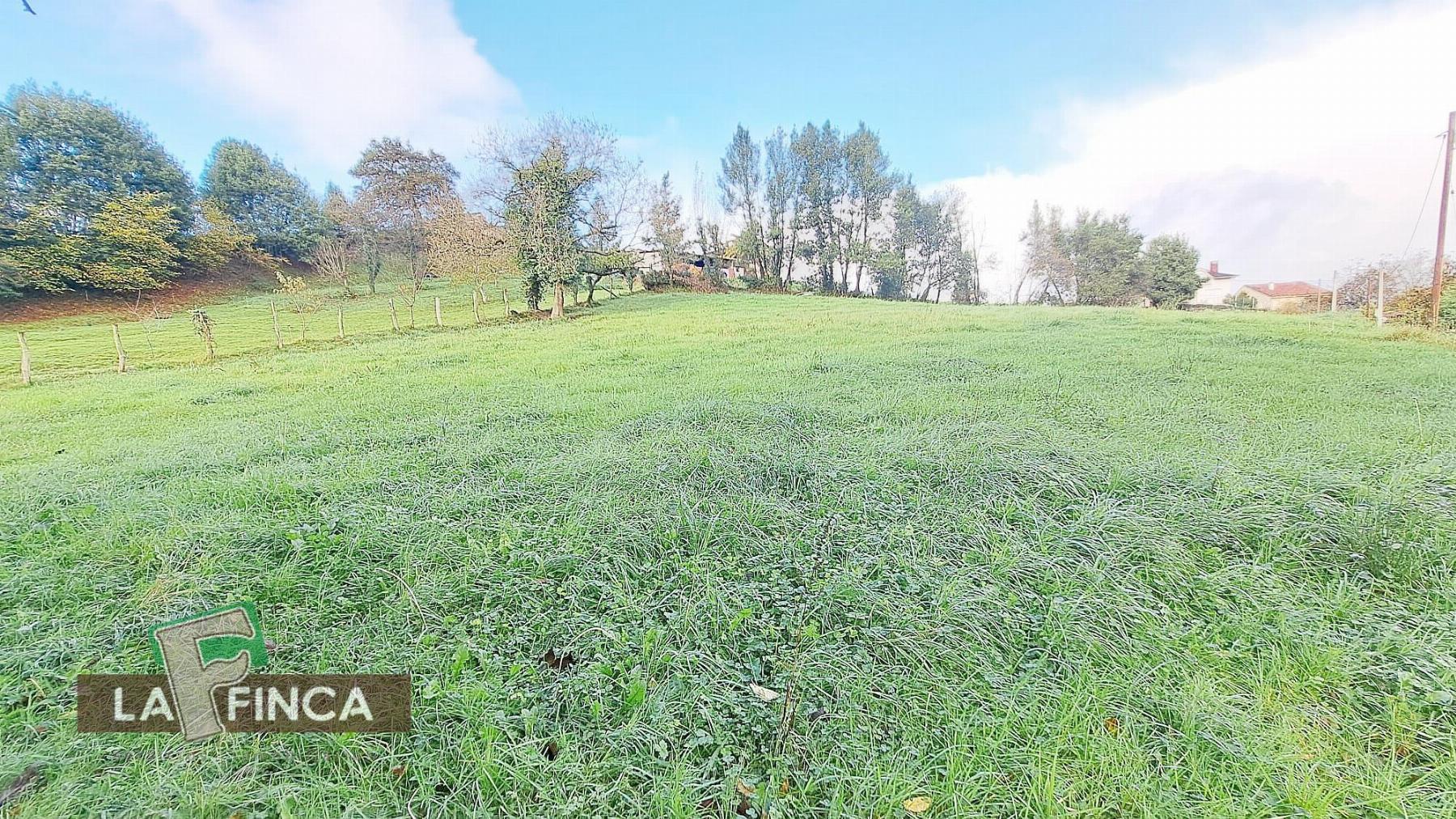 Venta de terreno en Oviedo