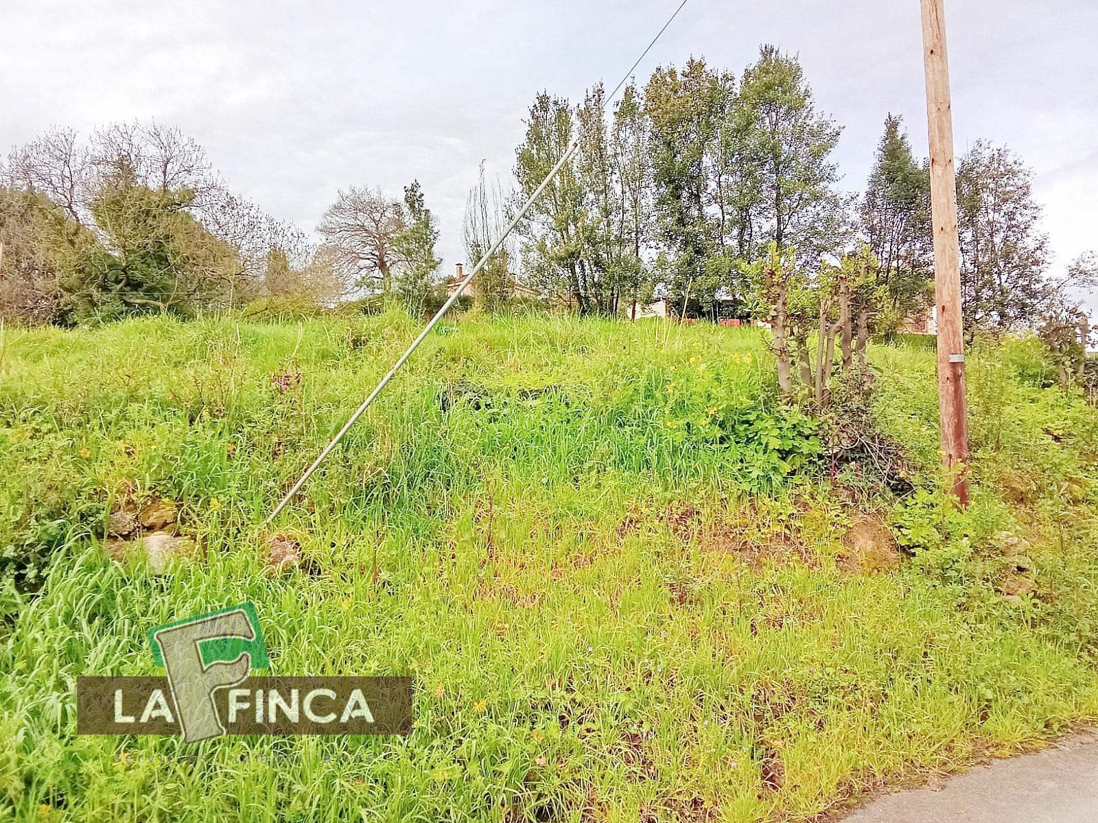 Venta de terreno en Oviedo