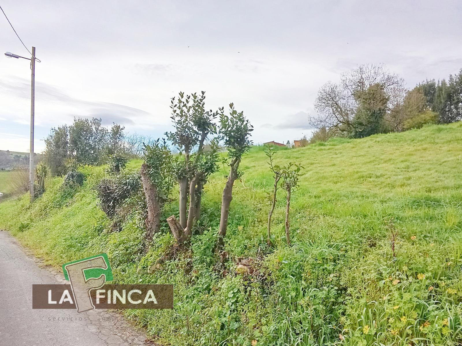 Venta de terreno en Oviedo