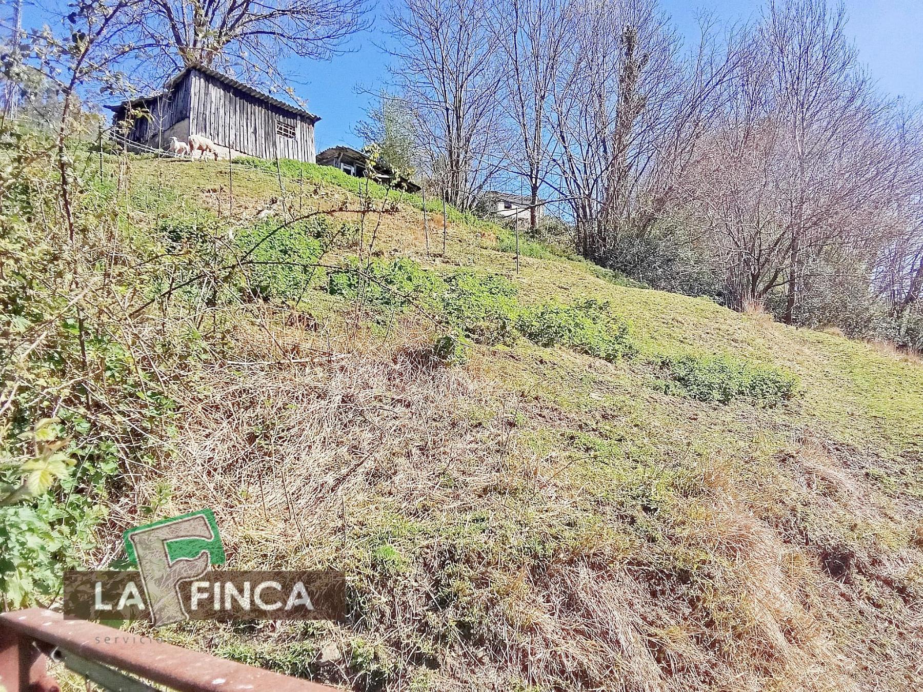 Venta de terreno en San Martín del Rey Aurelio