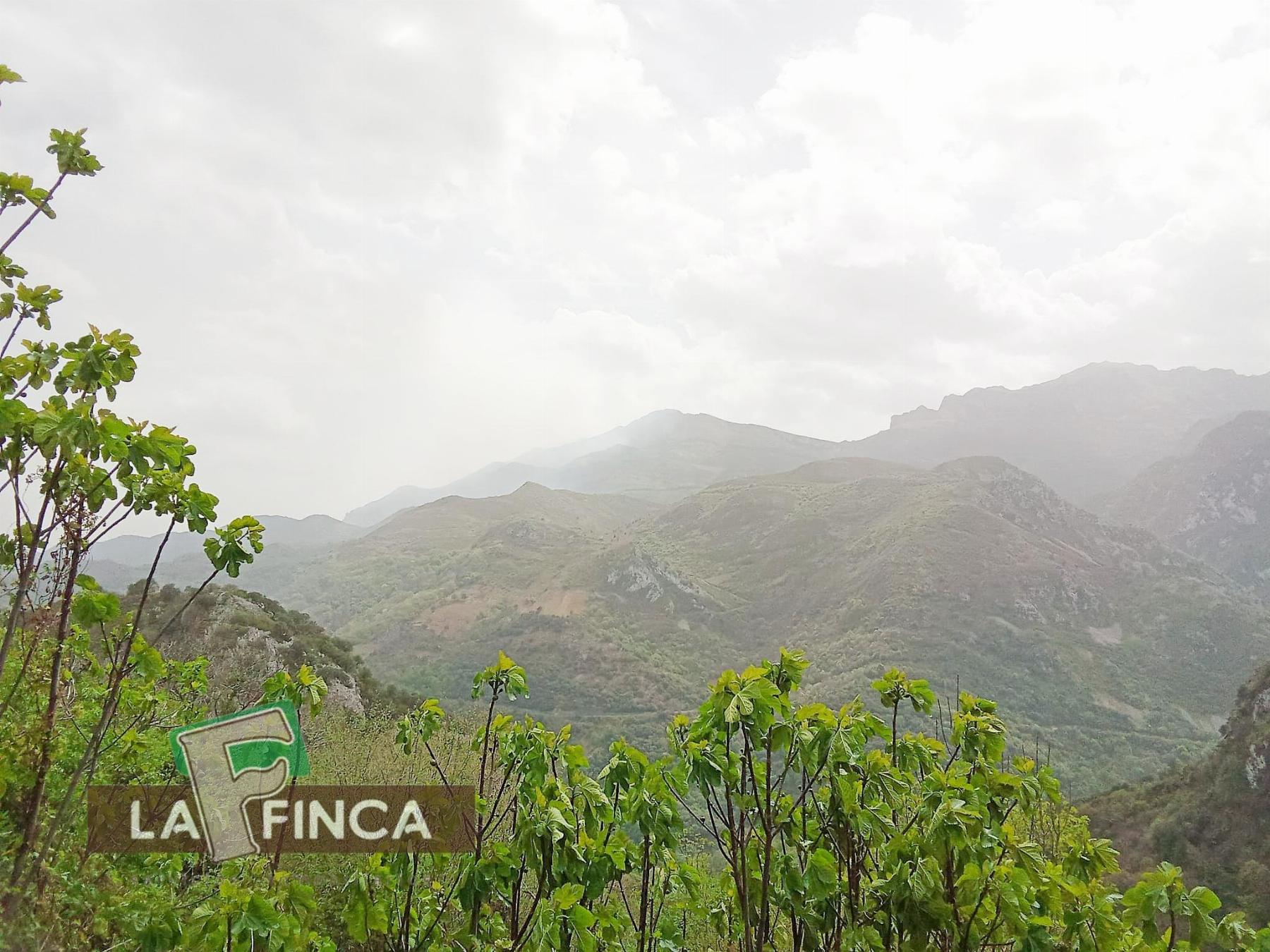 Venta de casa en Santo Adriano