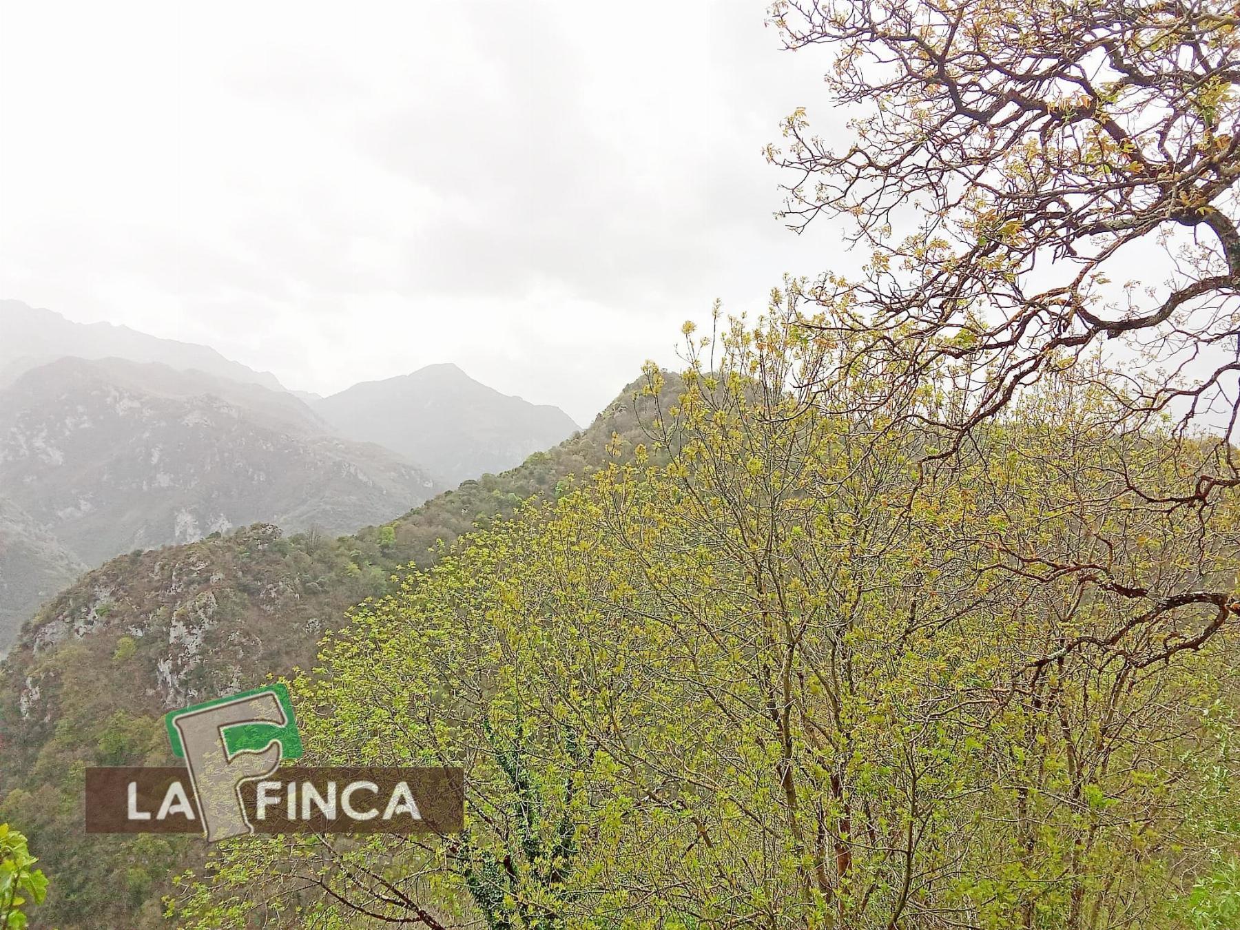 Venta de casa en Santo Adriano