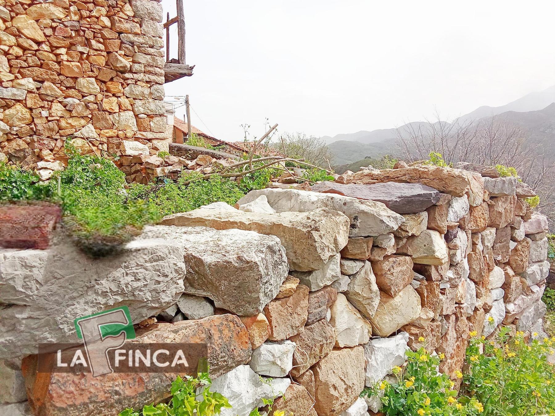 Venta de finca rústica en Santo Adriano