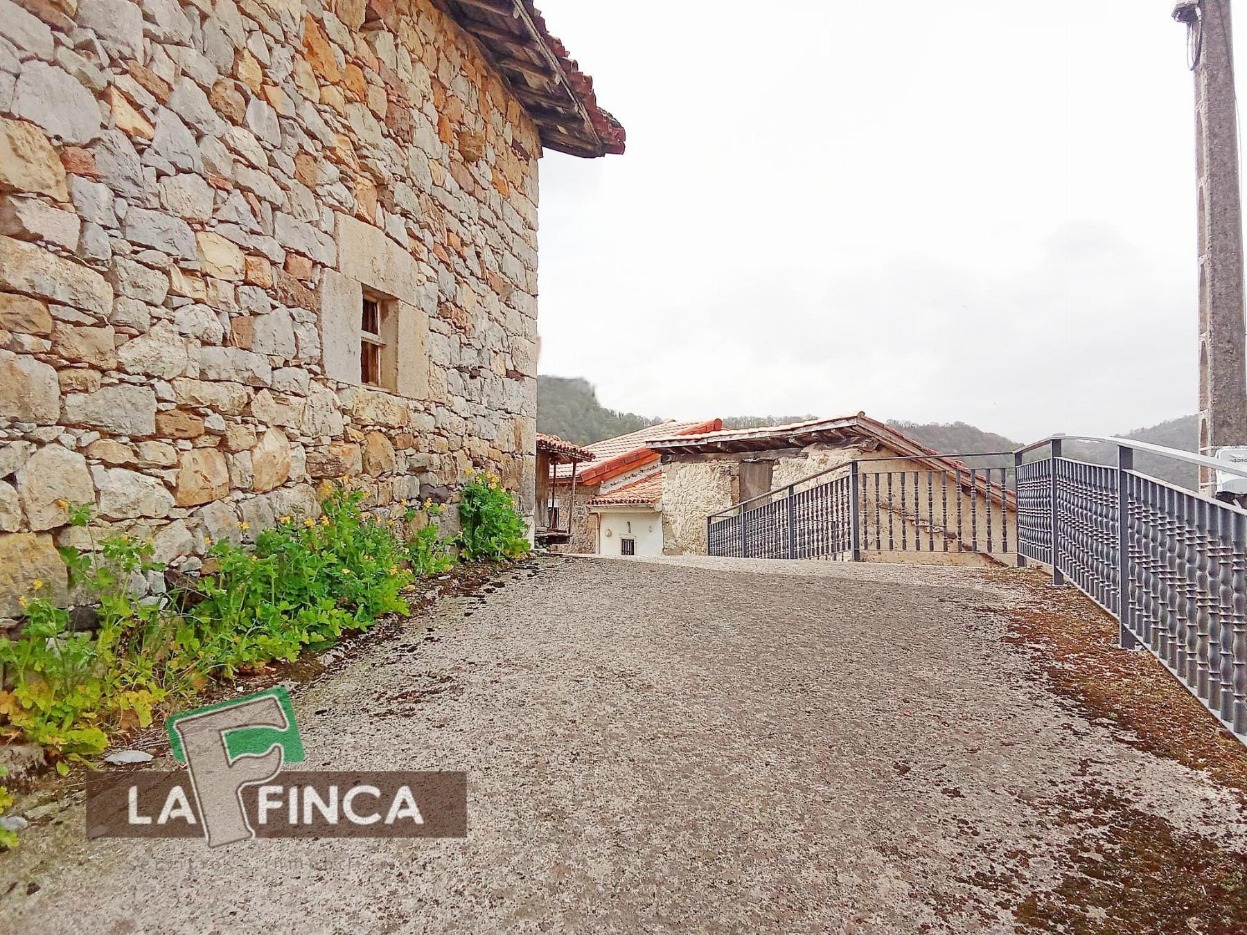 Venta de finca rústica en Santo Adriano
