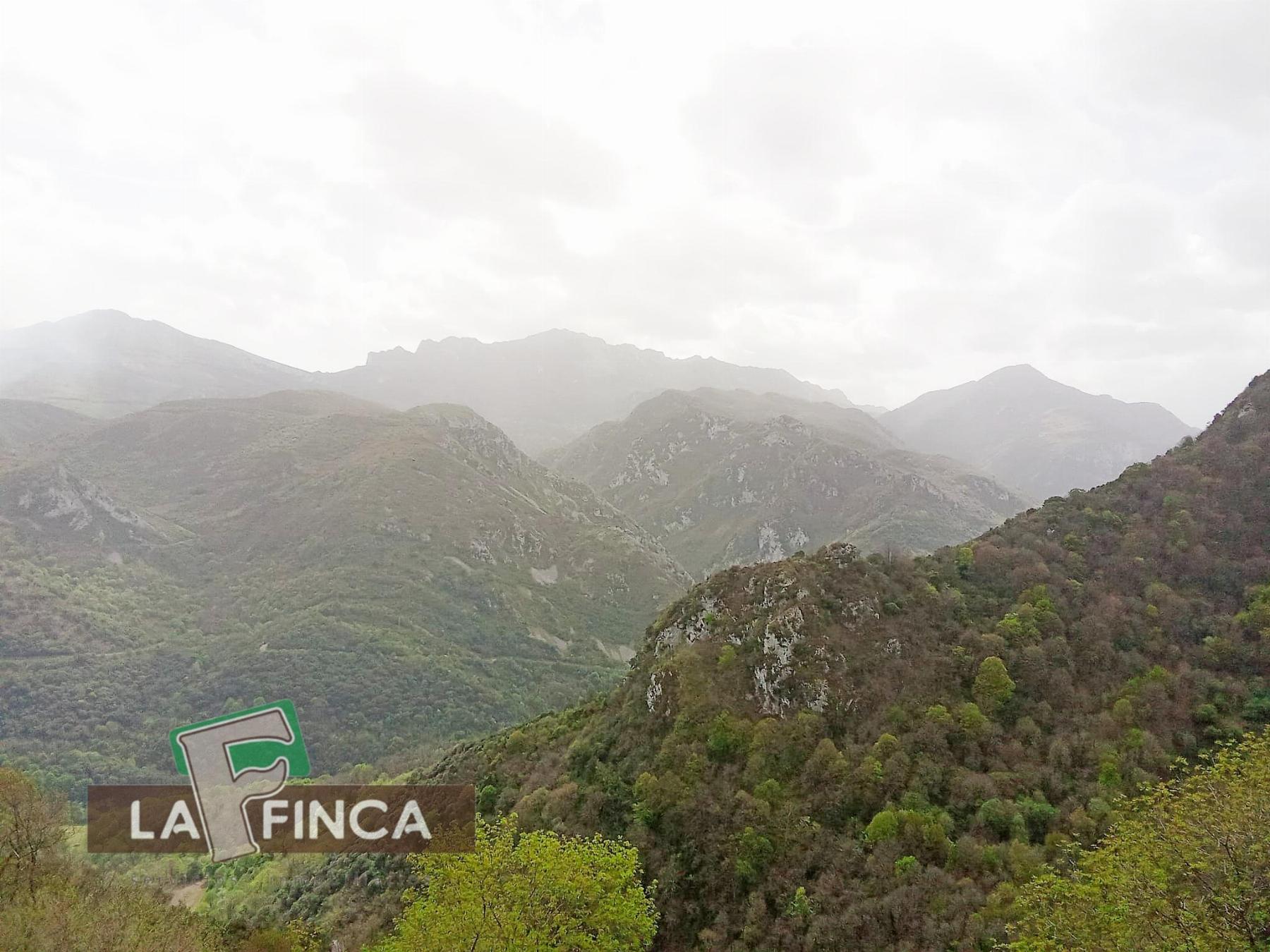 Venta de finca rústica en Santo Adriano
