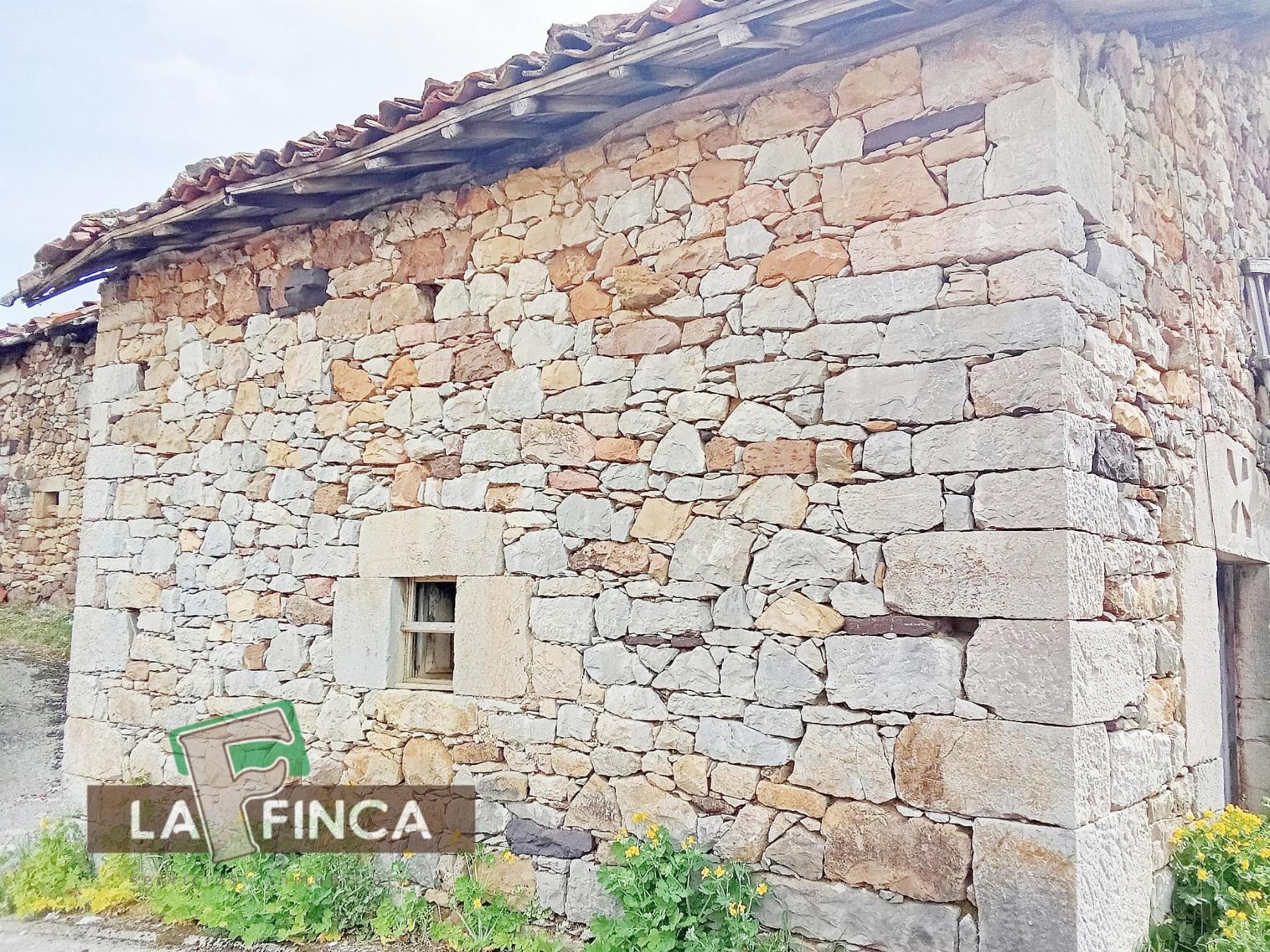 Venta de finca rústica en Santo Adriano