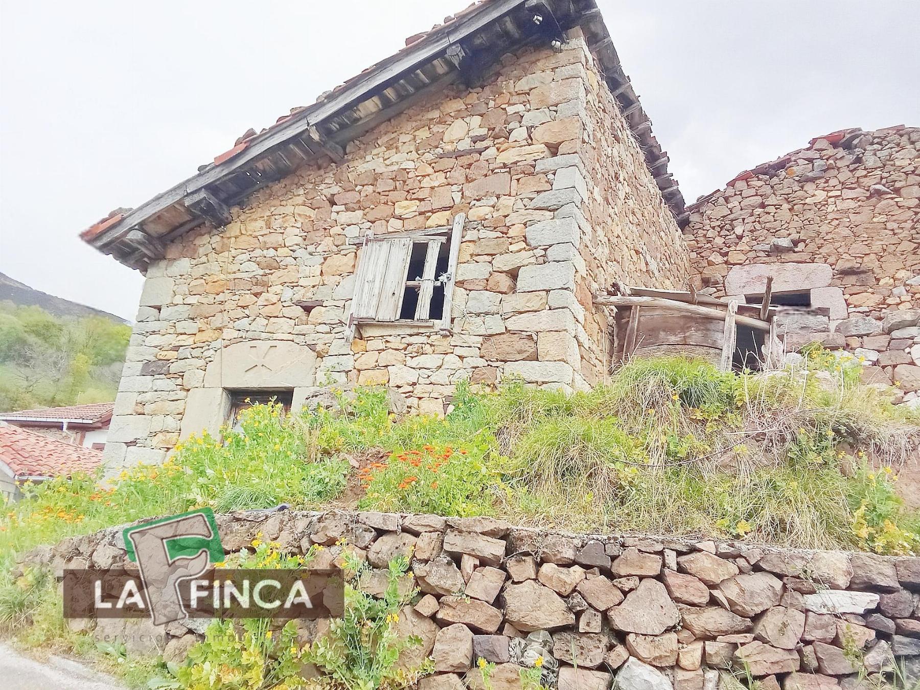 Venta de finca rústica en Santo Adriano
