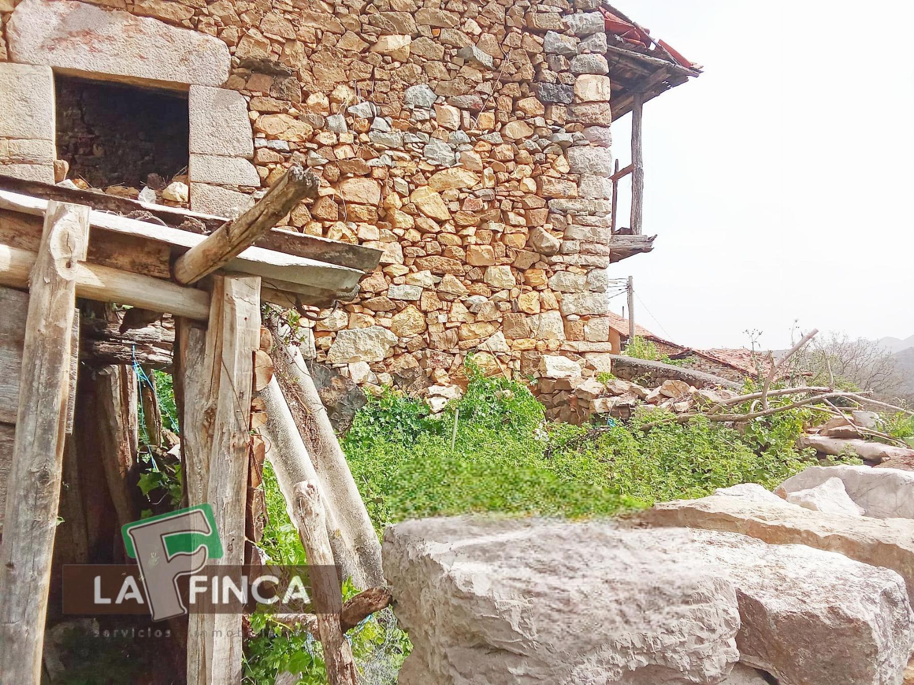 Venta de finca rústica en Santo Adriano