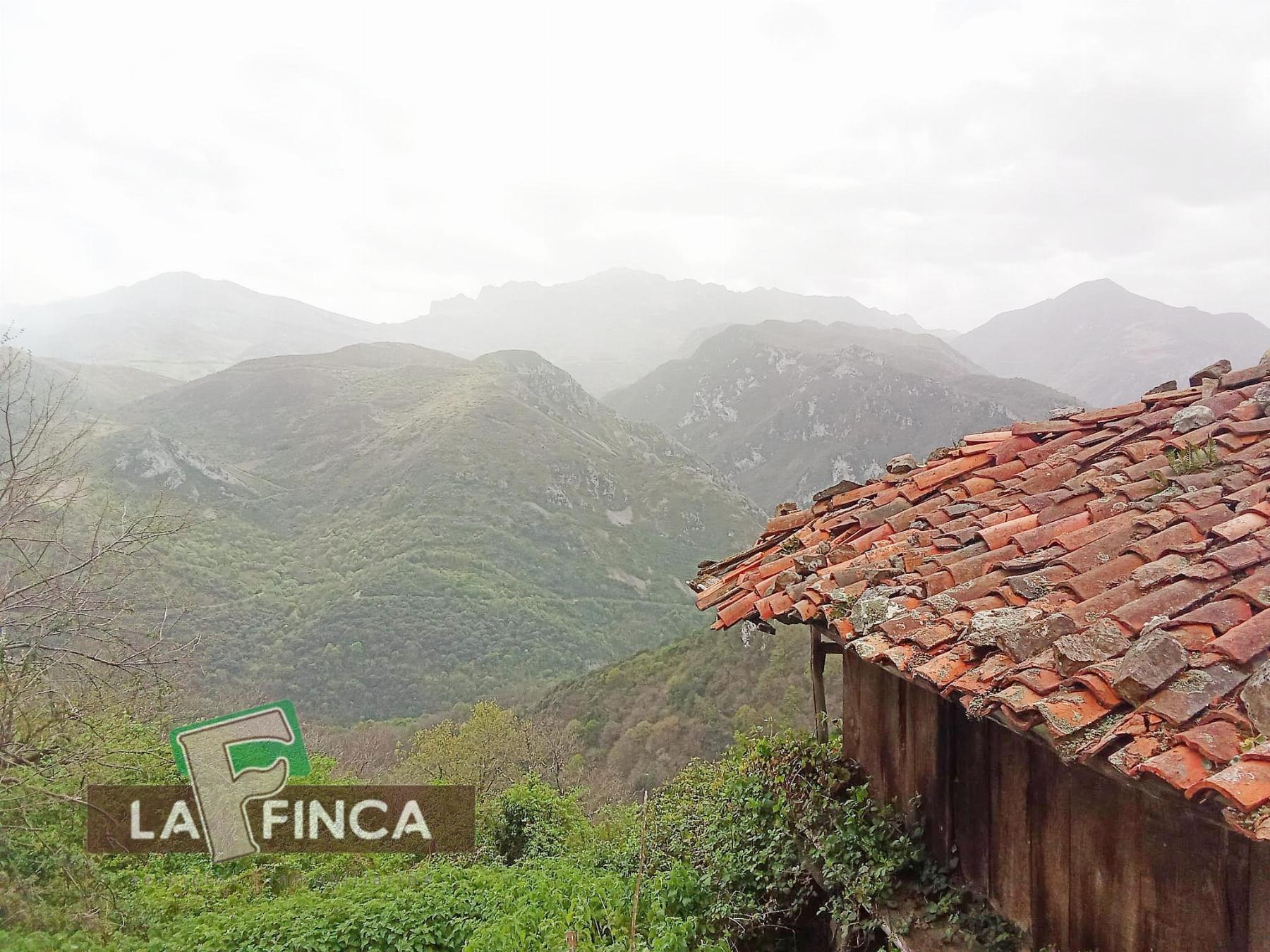 Venta de finca rústica en Santo Adriano