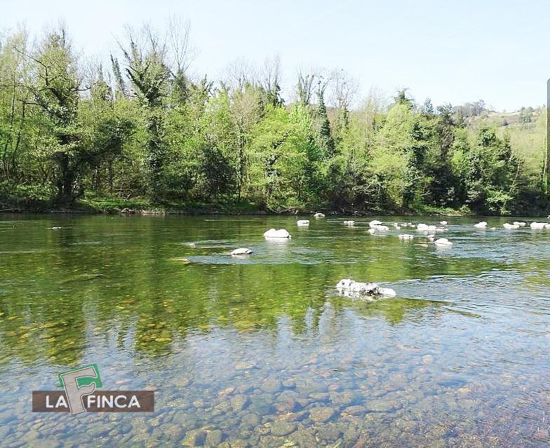 For sale of house in Oviedo