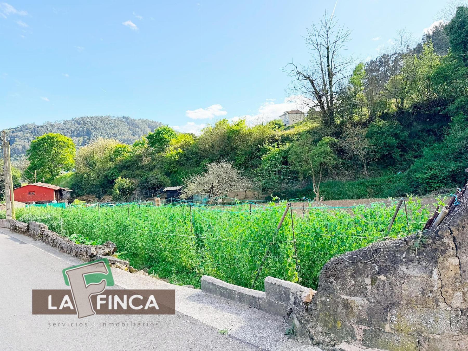 Venta de terreno en Pravia