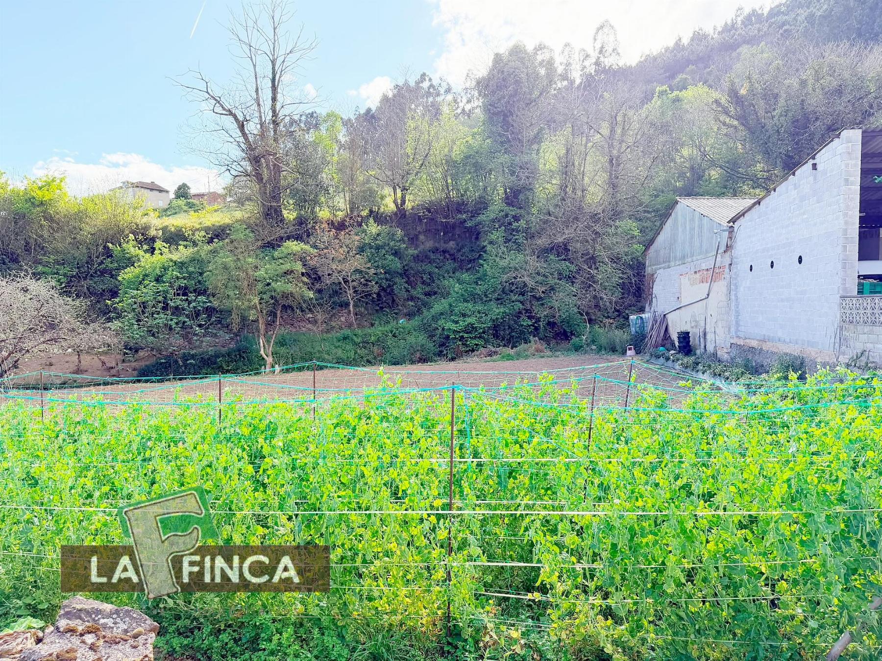 Venta de terreno en Pravia
