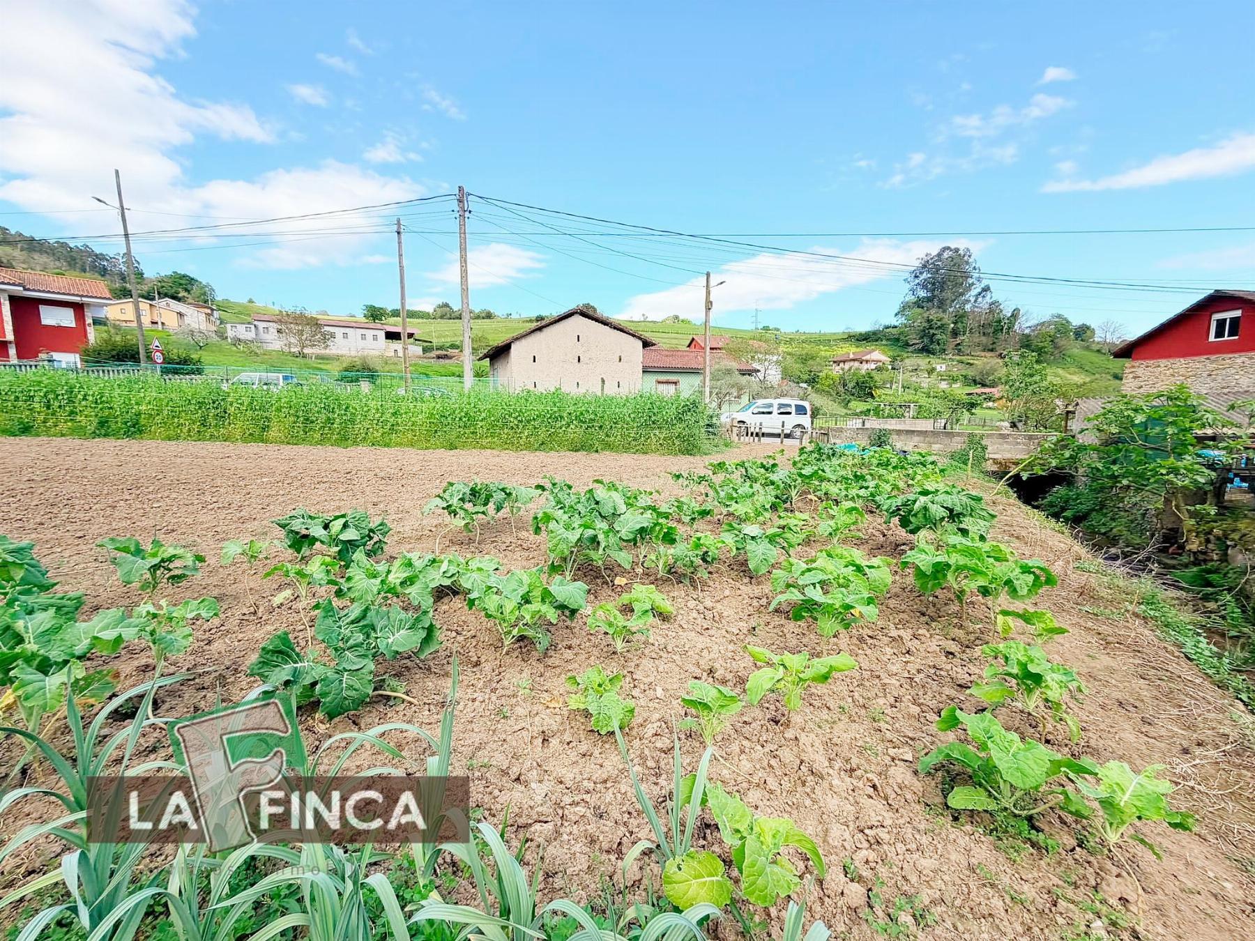 Venta de terreno en Pravia