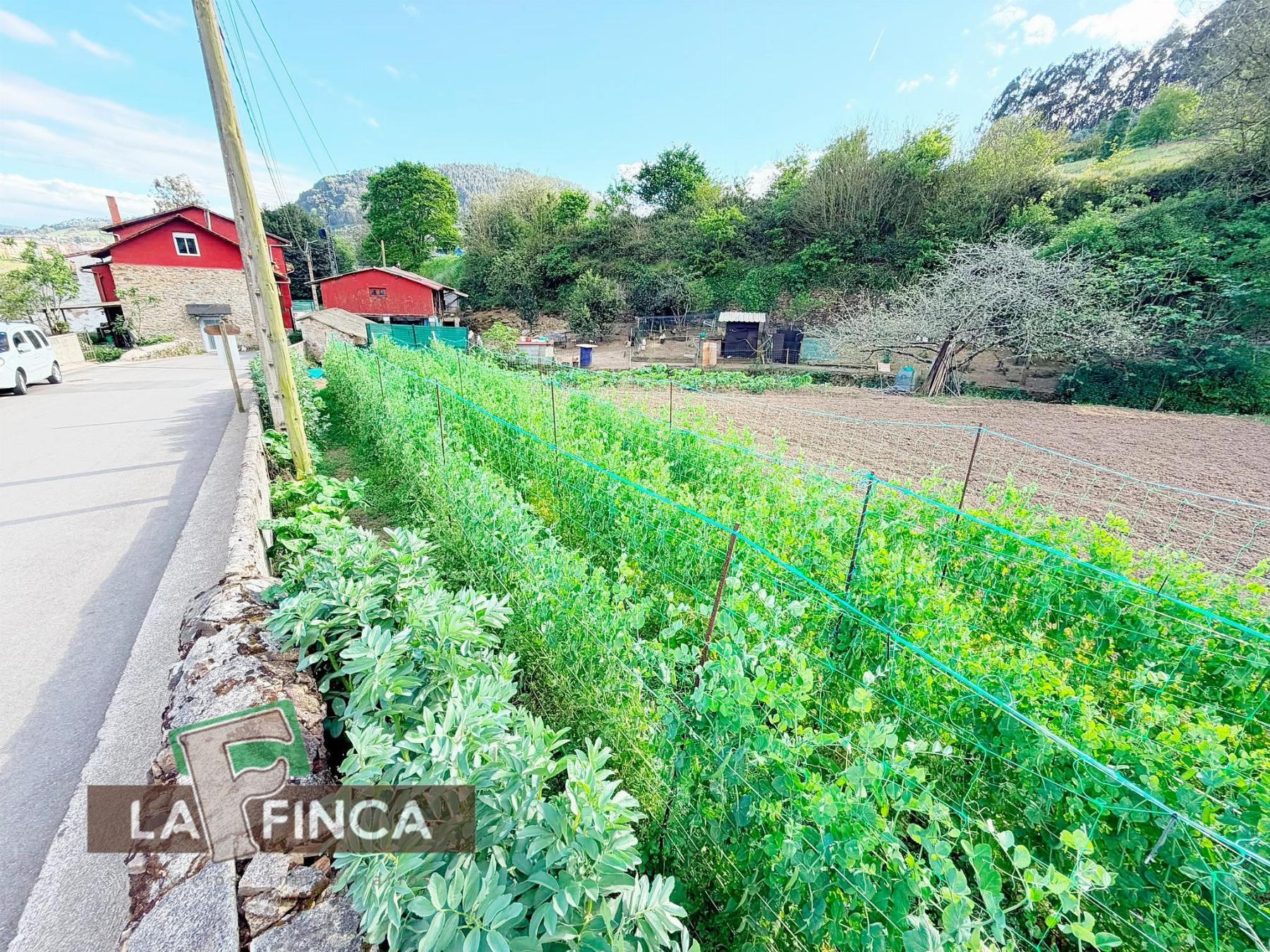 Venta de terreno en Pravia