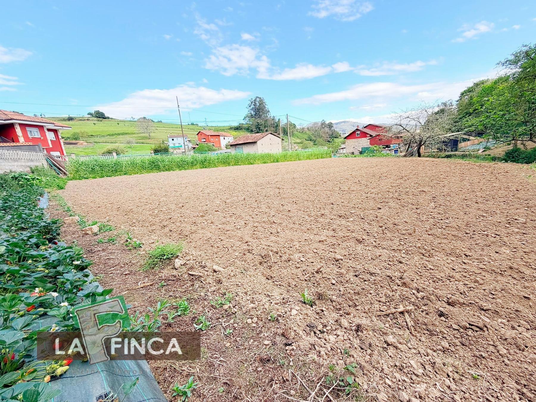 Venta de terreno en Pravia