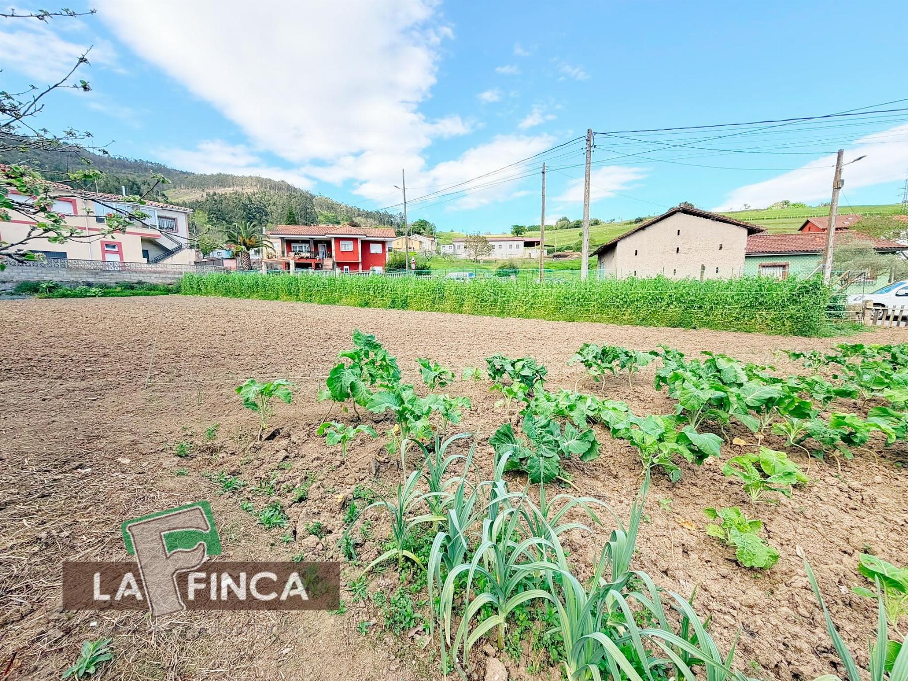 Venta de terreno en Pravia