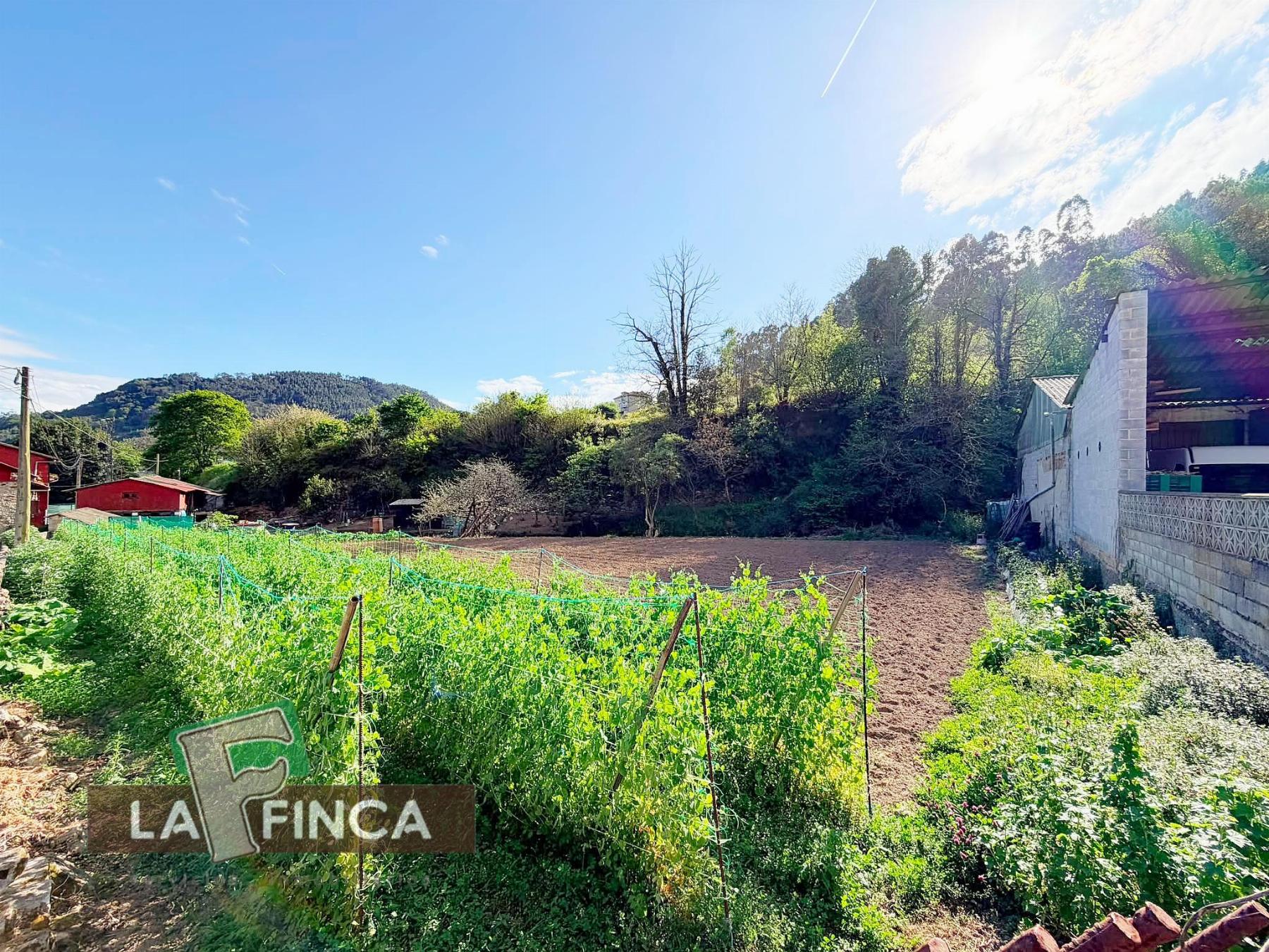 Venta de terreno en Pravia