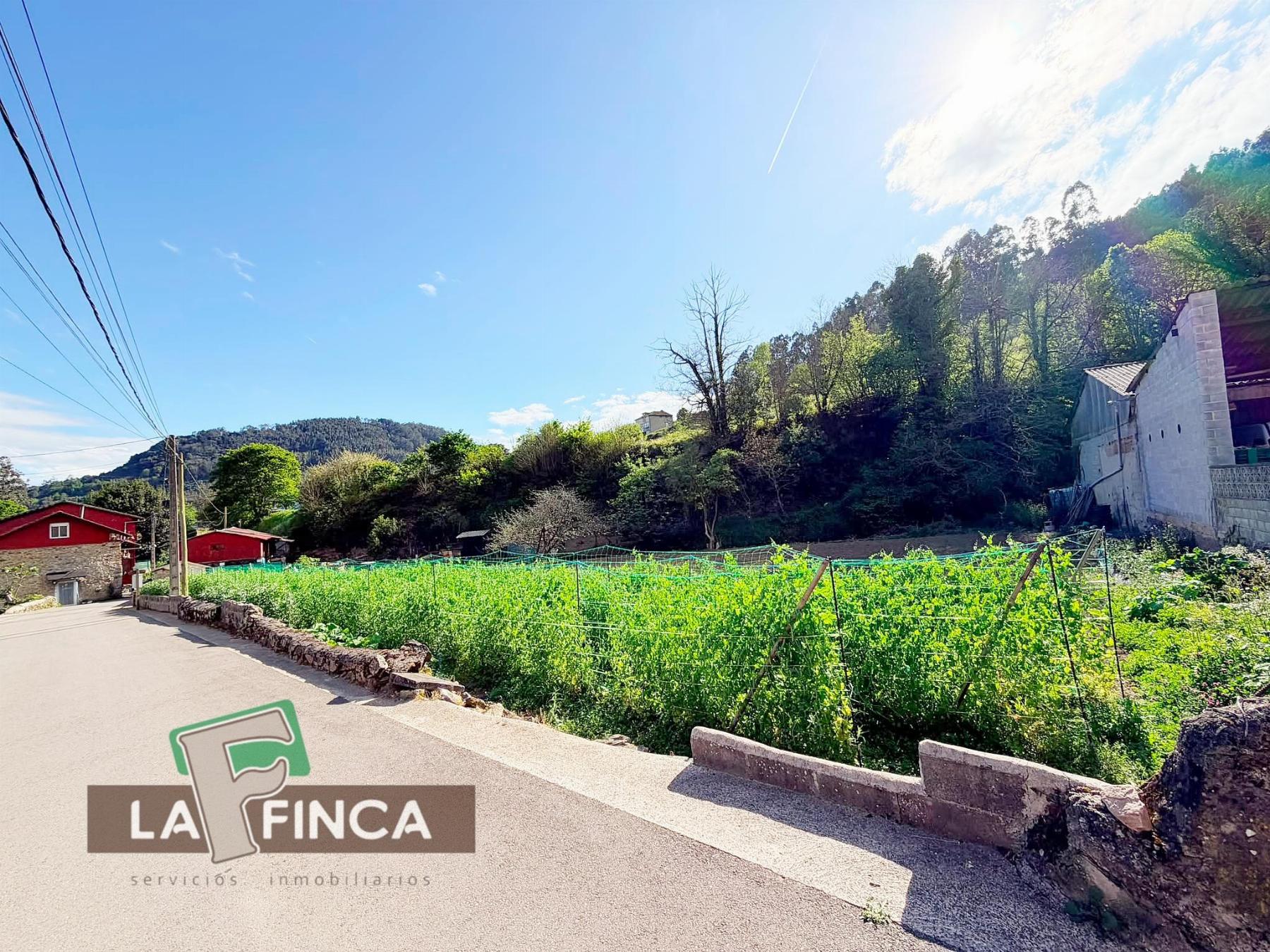 Venta de terreno en Pravia