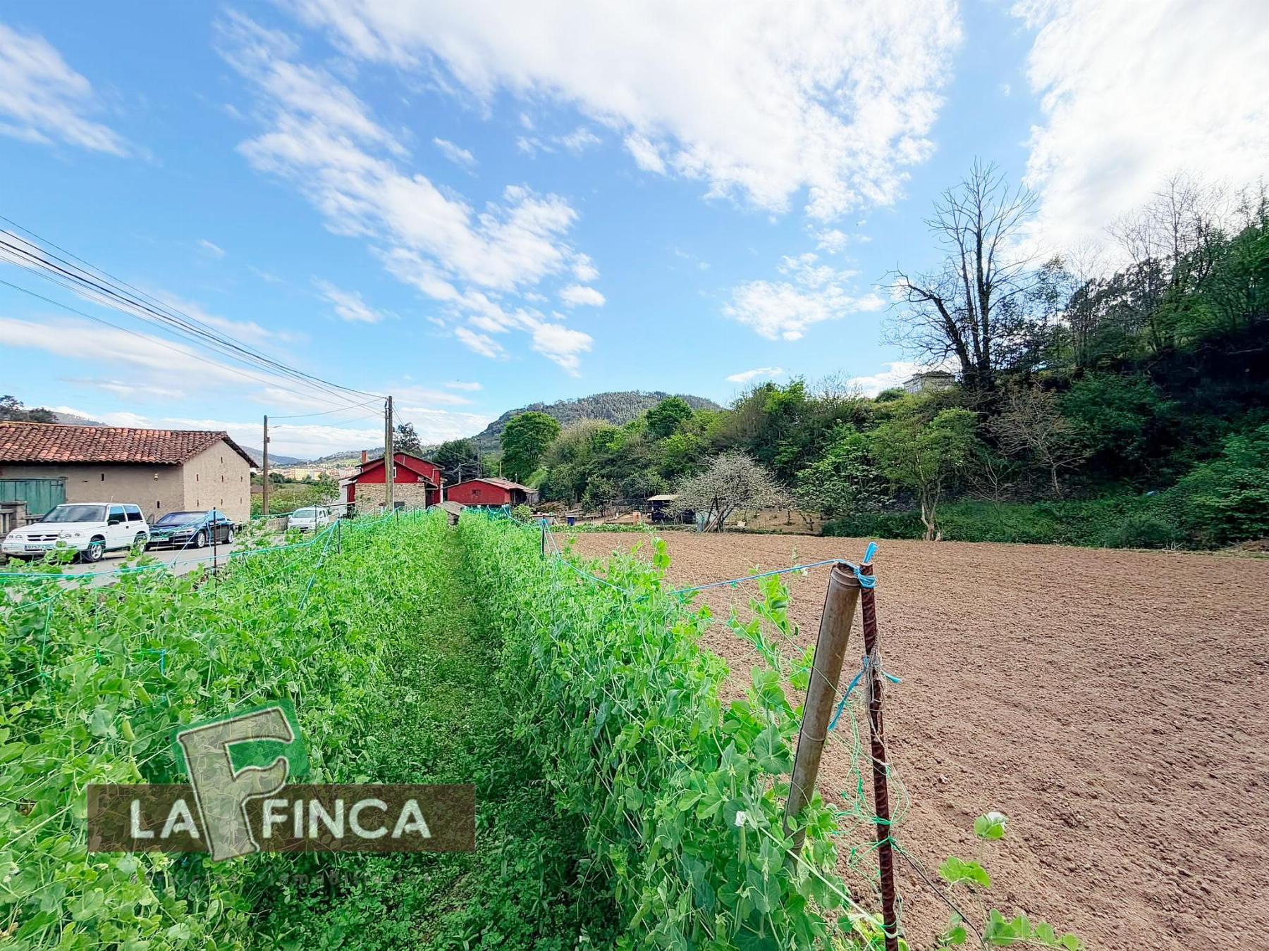 Venta de terreno en Pravia