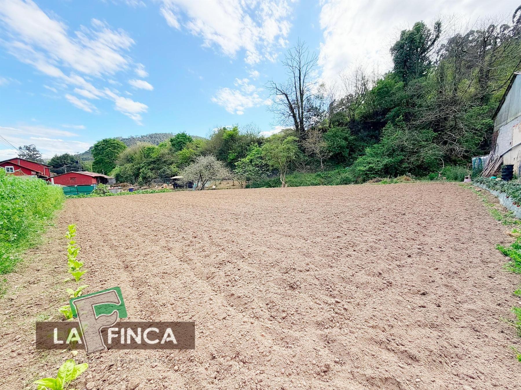 Venta de terreno en Pravia