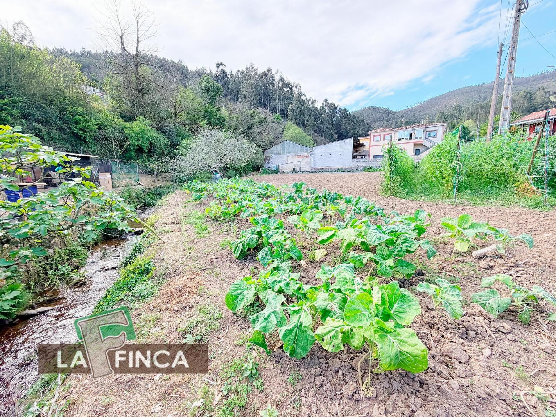 Venta de terreno en Pravia