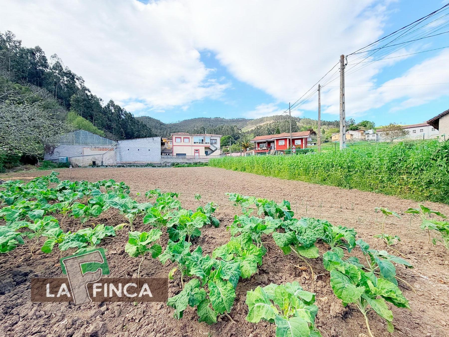 Venta de terreno en Pravia