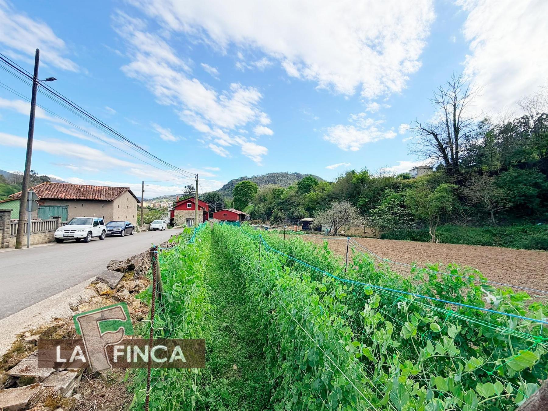 Venta de terreno en Pravia