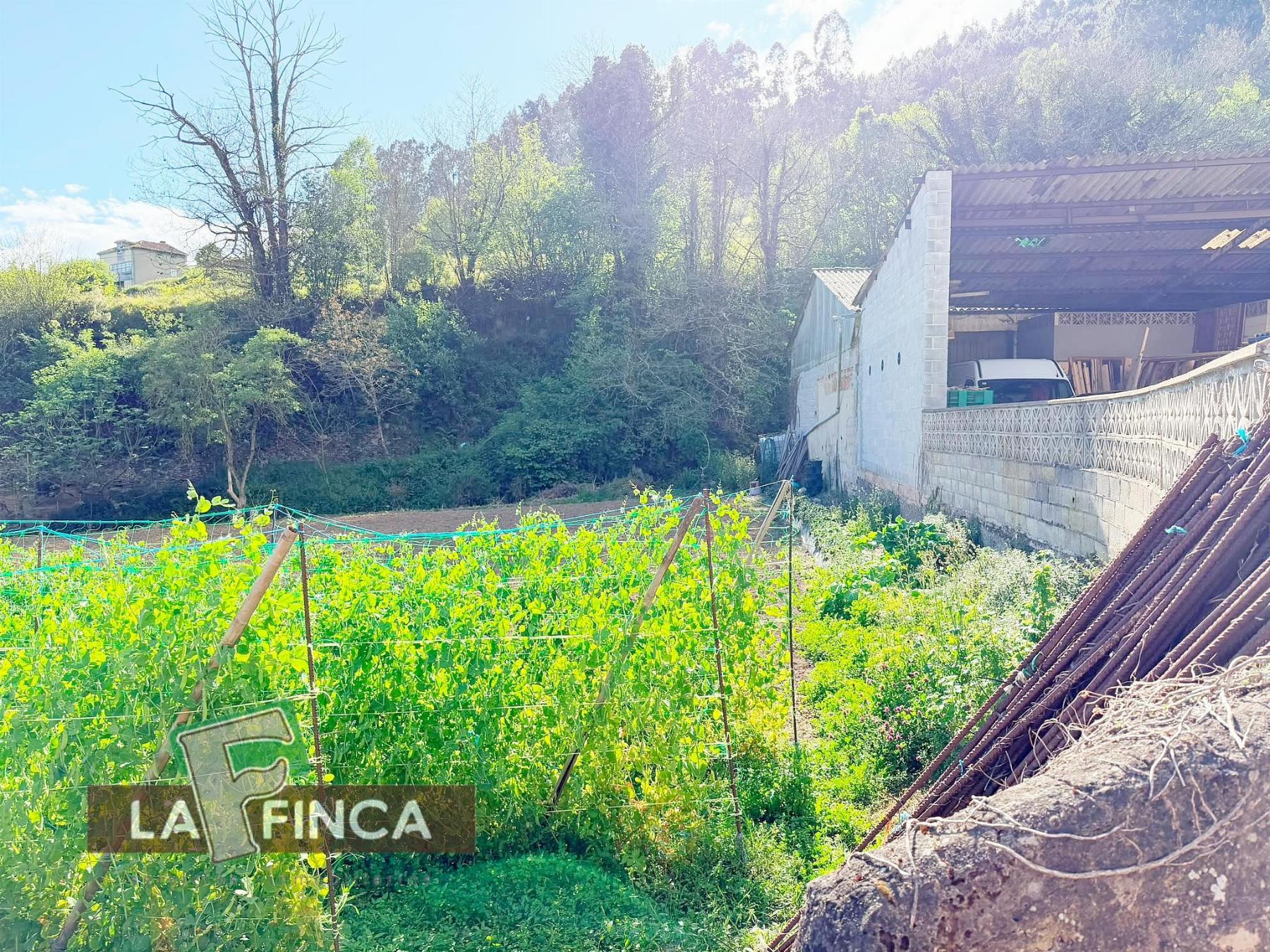 Venta de terreno en Pravia