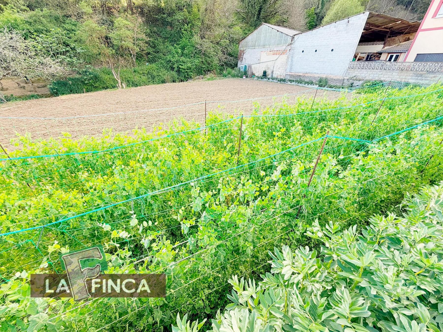 Venta de terreno en Pravia