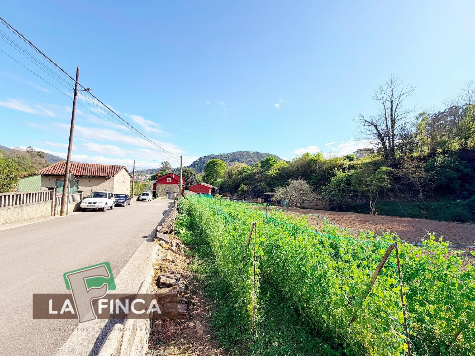 Venta de terreno en Pravia