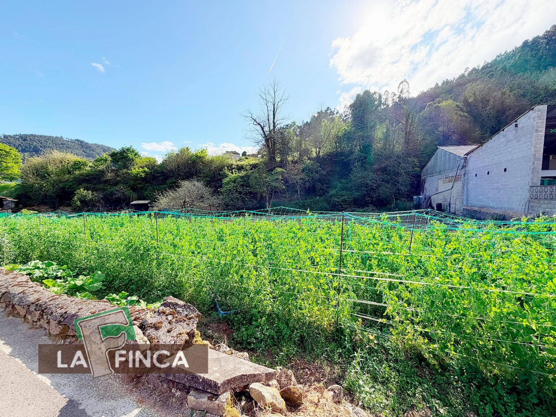 Venta de terreno en Pravia