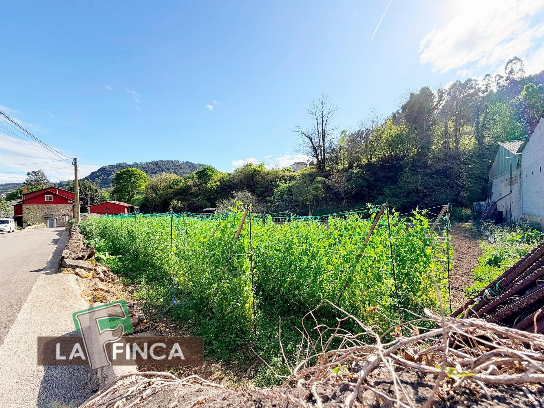 Venta de terreno en Pravia