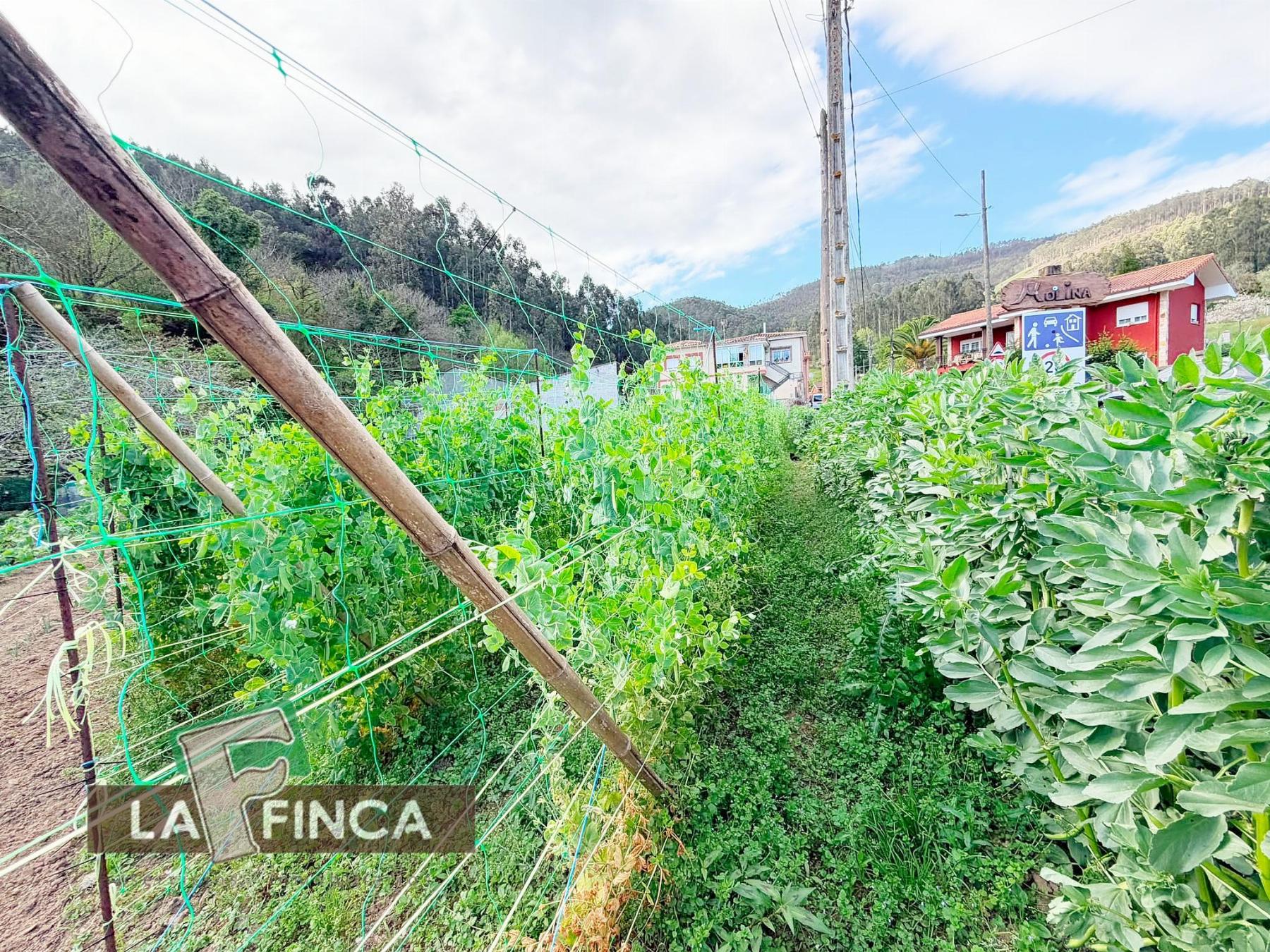 Venta de terreno en Pravia