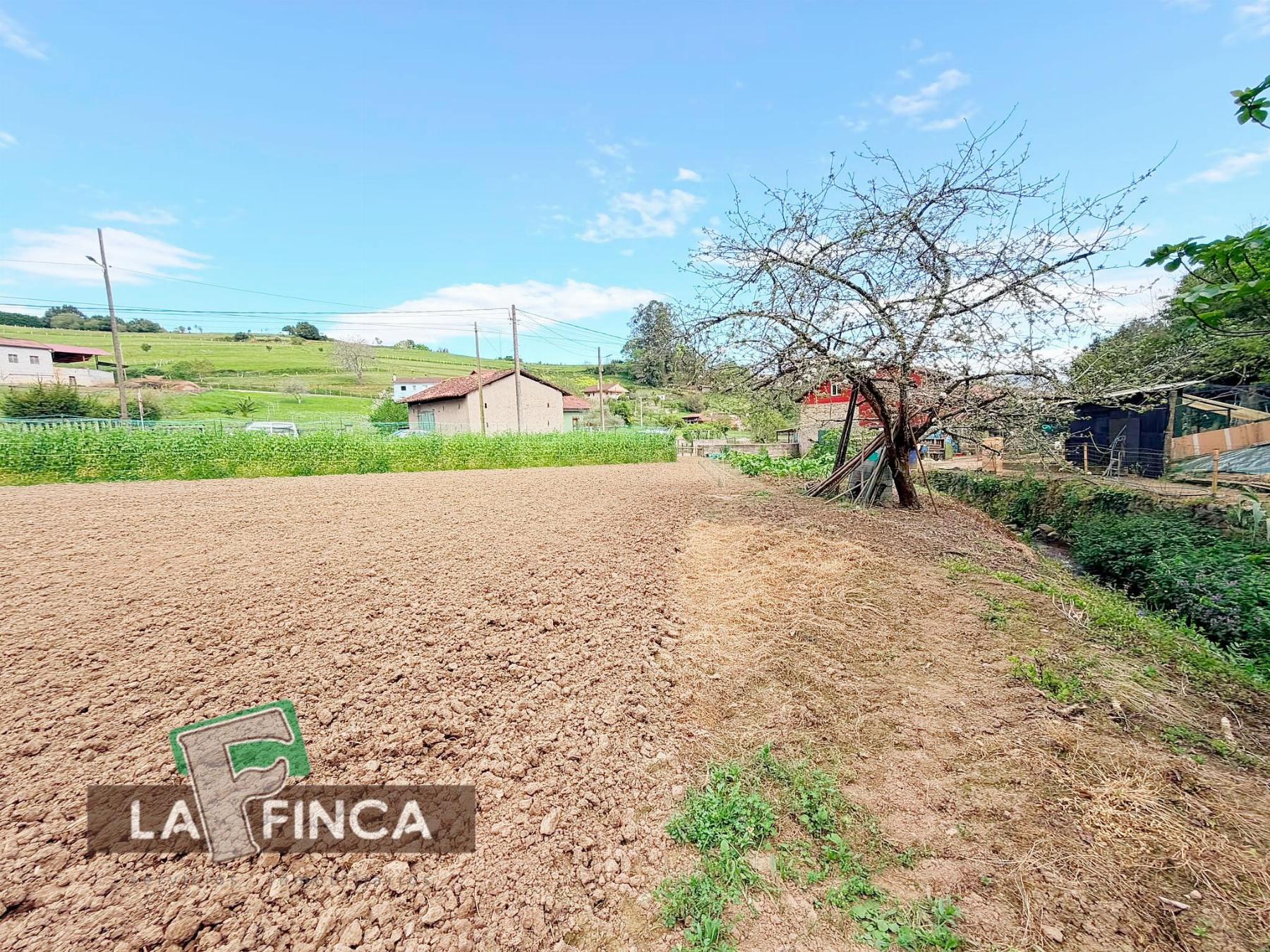 Venta de terreno en Pravia