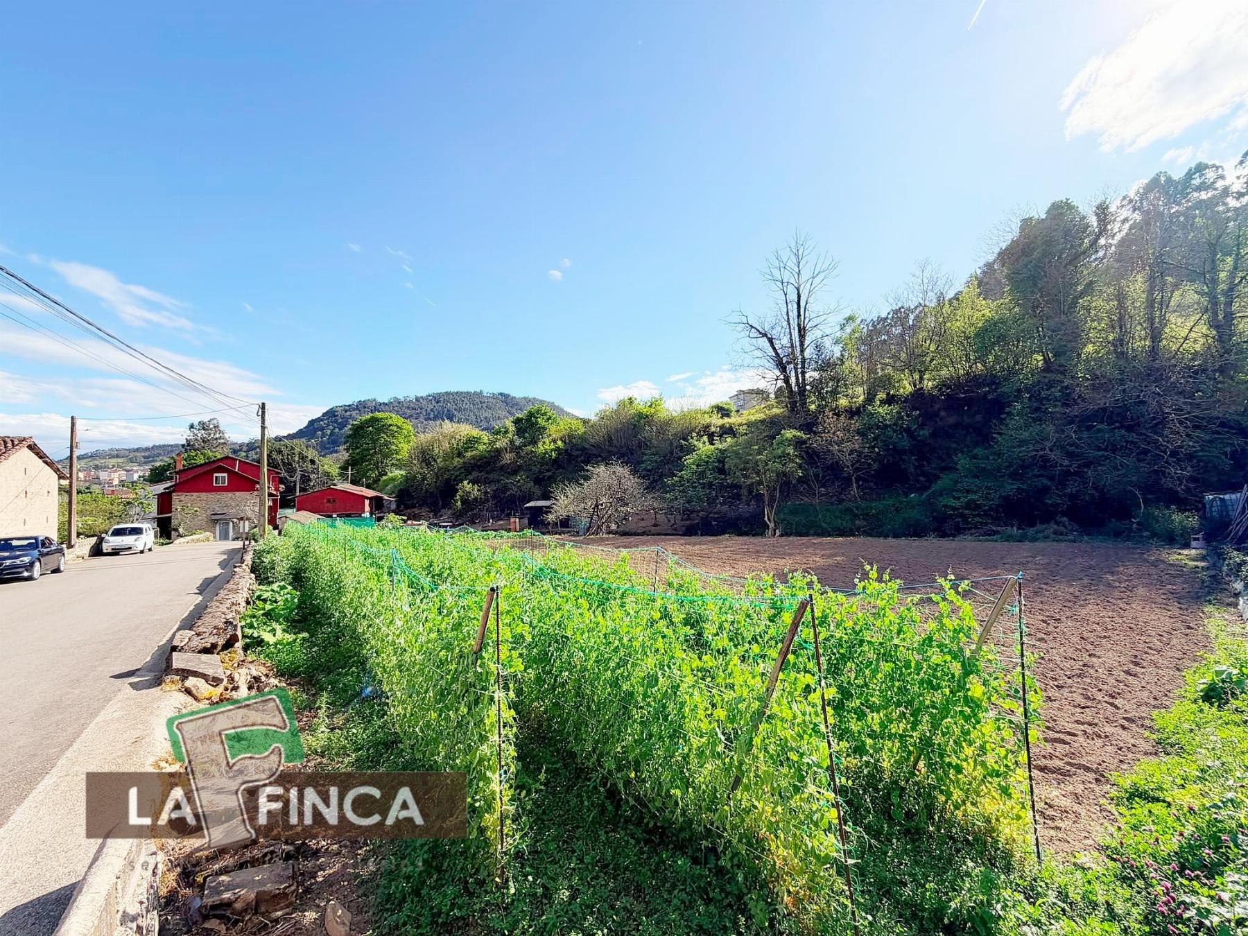 Venta de terreno en Pravia