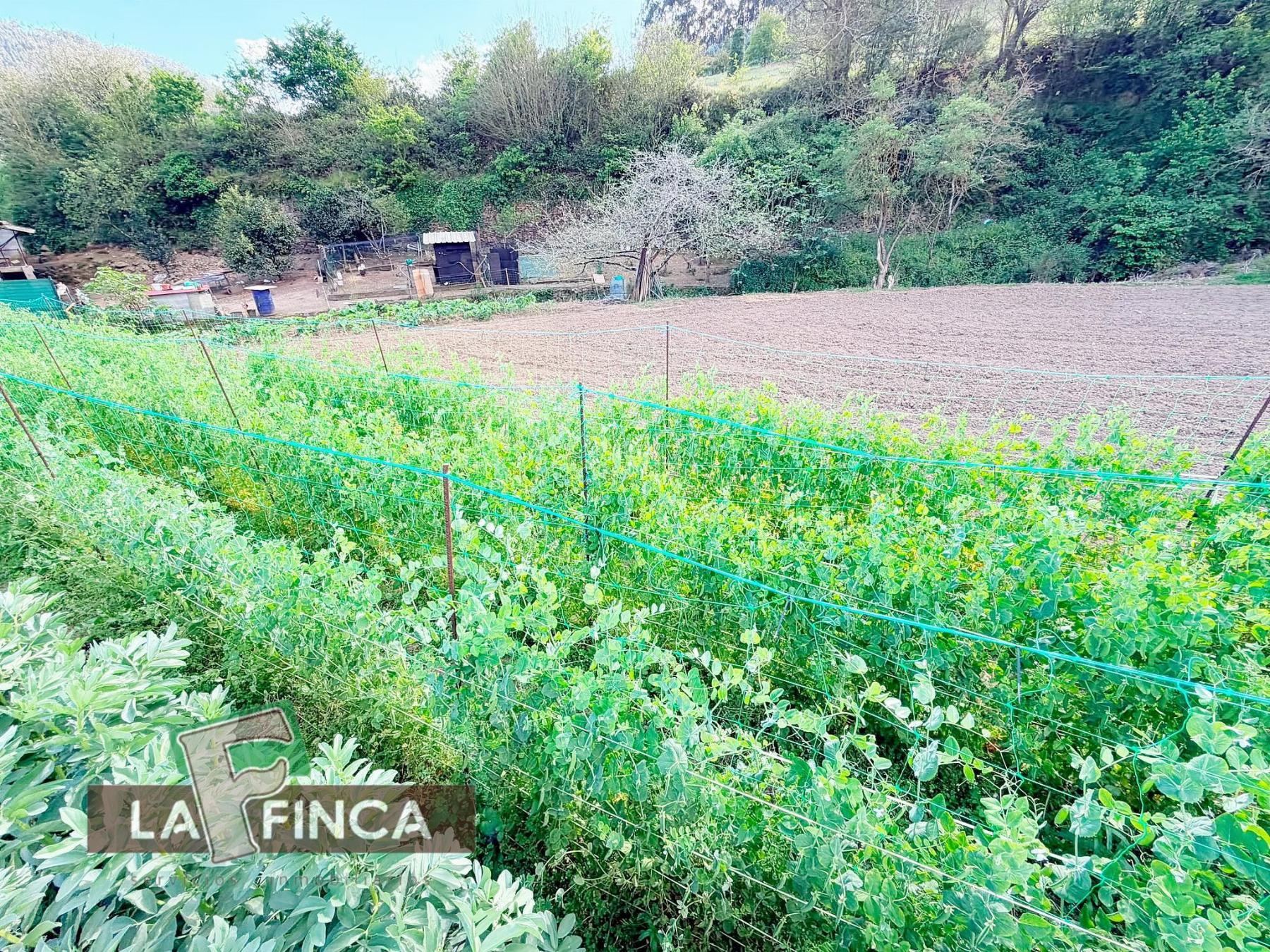 Venta de terreno en Pravia
