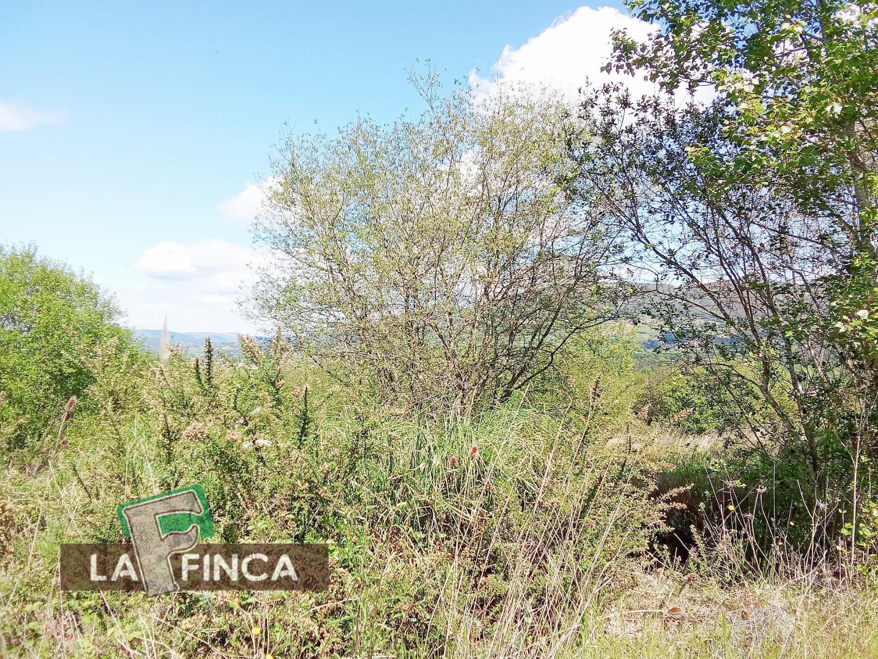 Venta de terreno en Oviedo