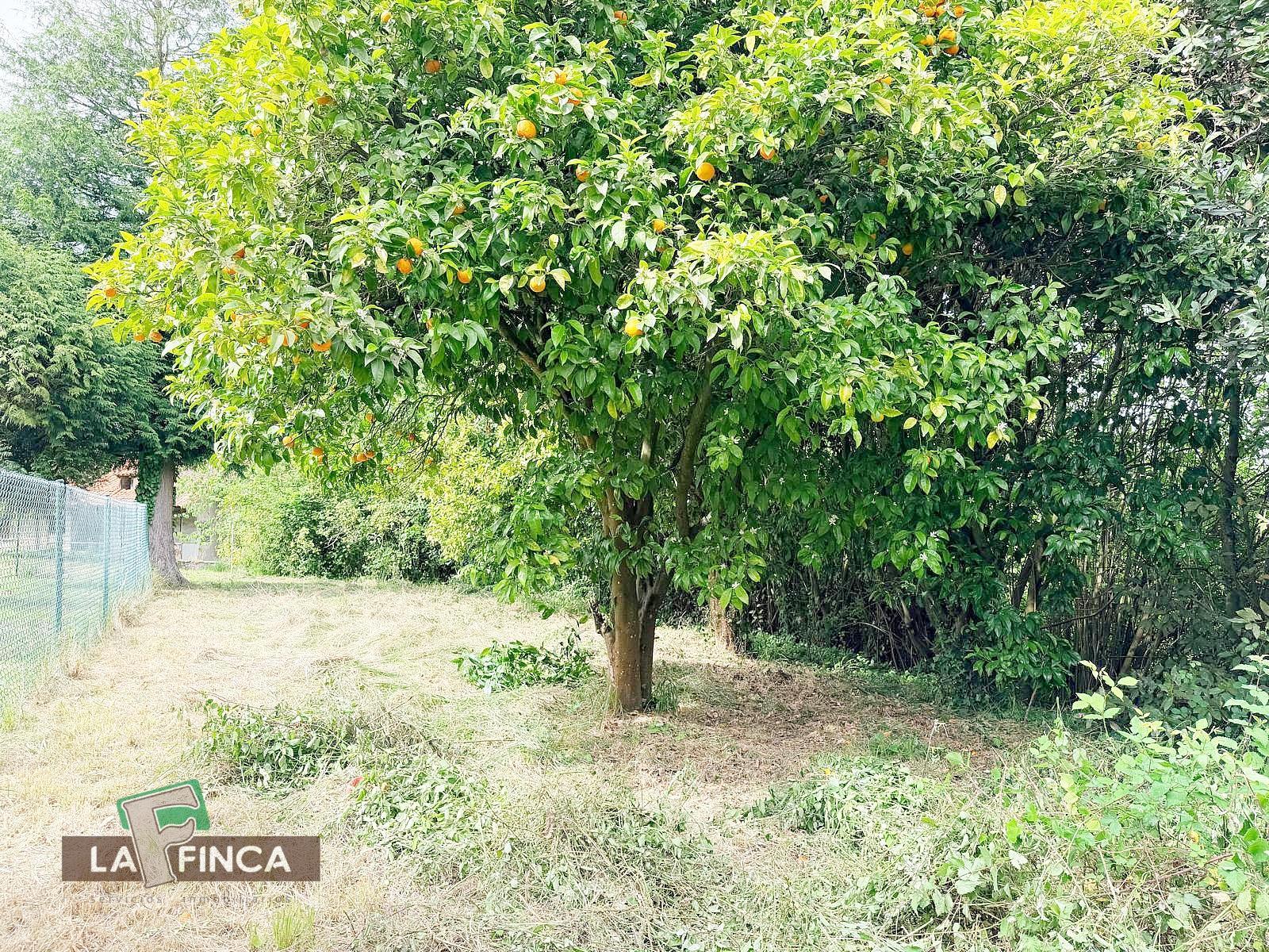 Venta de casa en Pravia