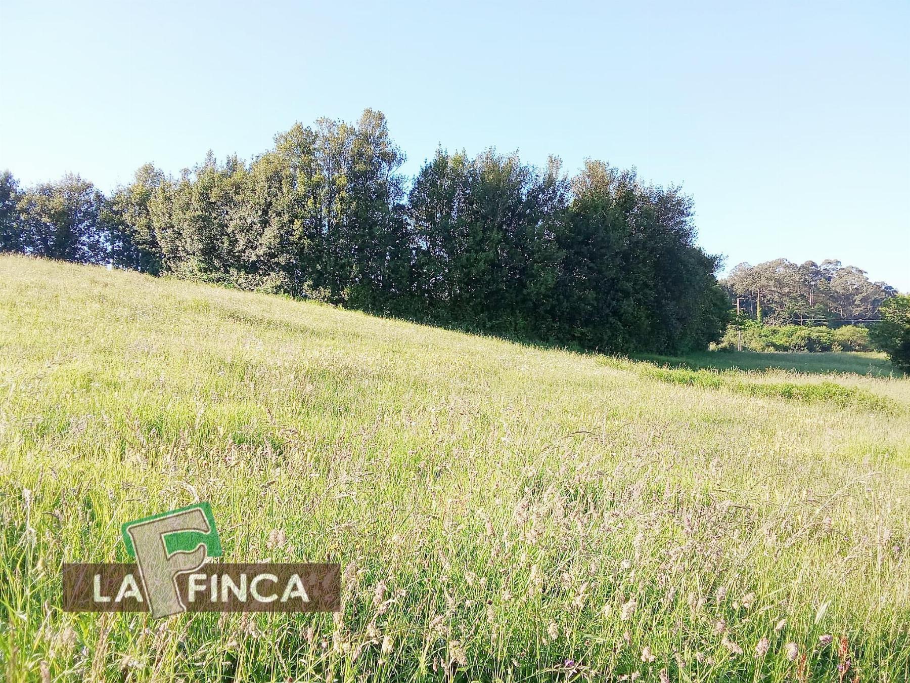 Venta de terreno en Soto del Barco Concejo