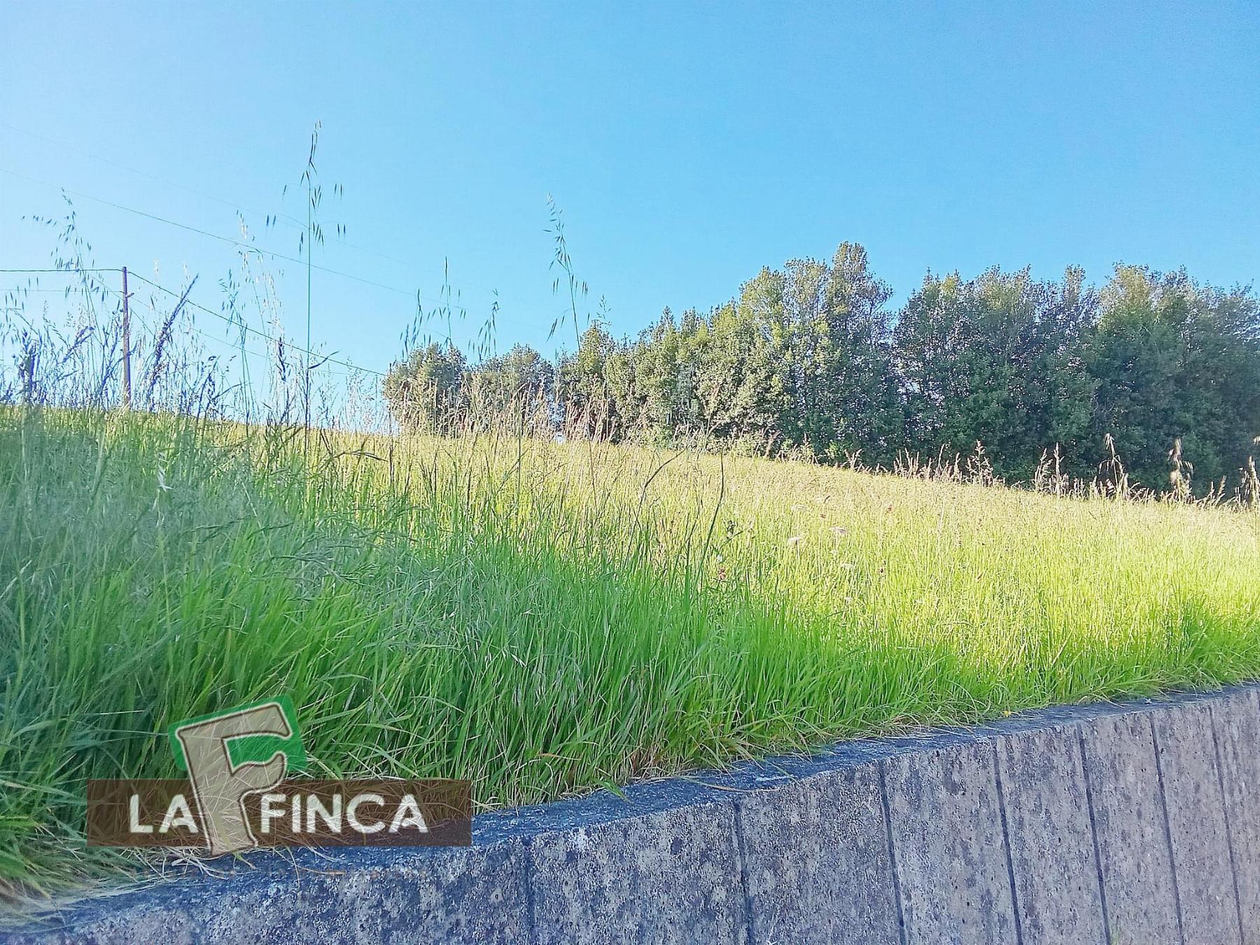 Venta de terreno en Soto del Barco Concejo