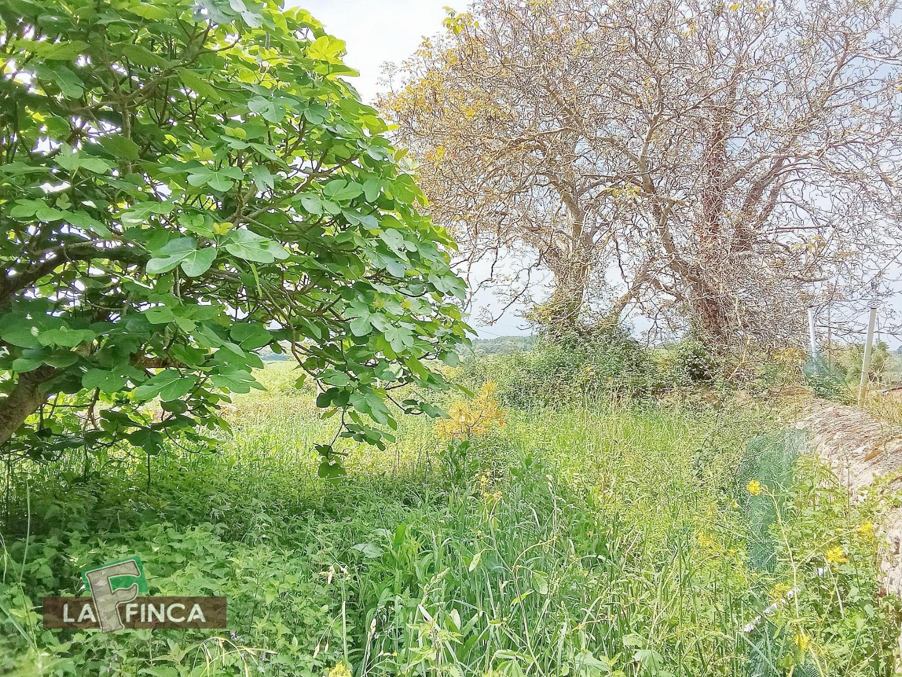 Venta de casa en Ribadesella Concejo