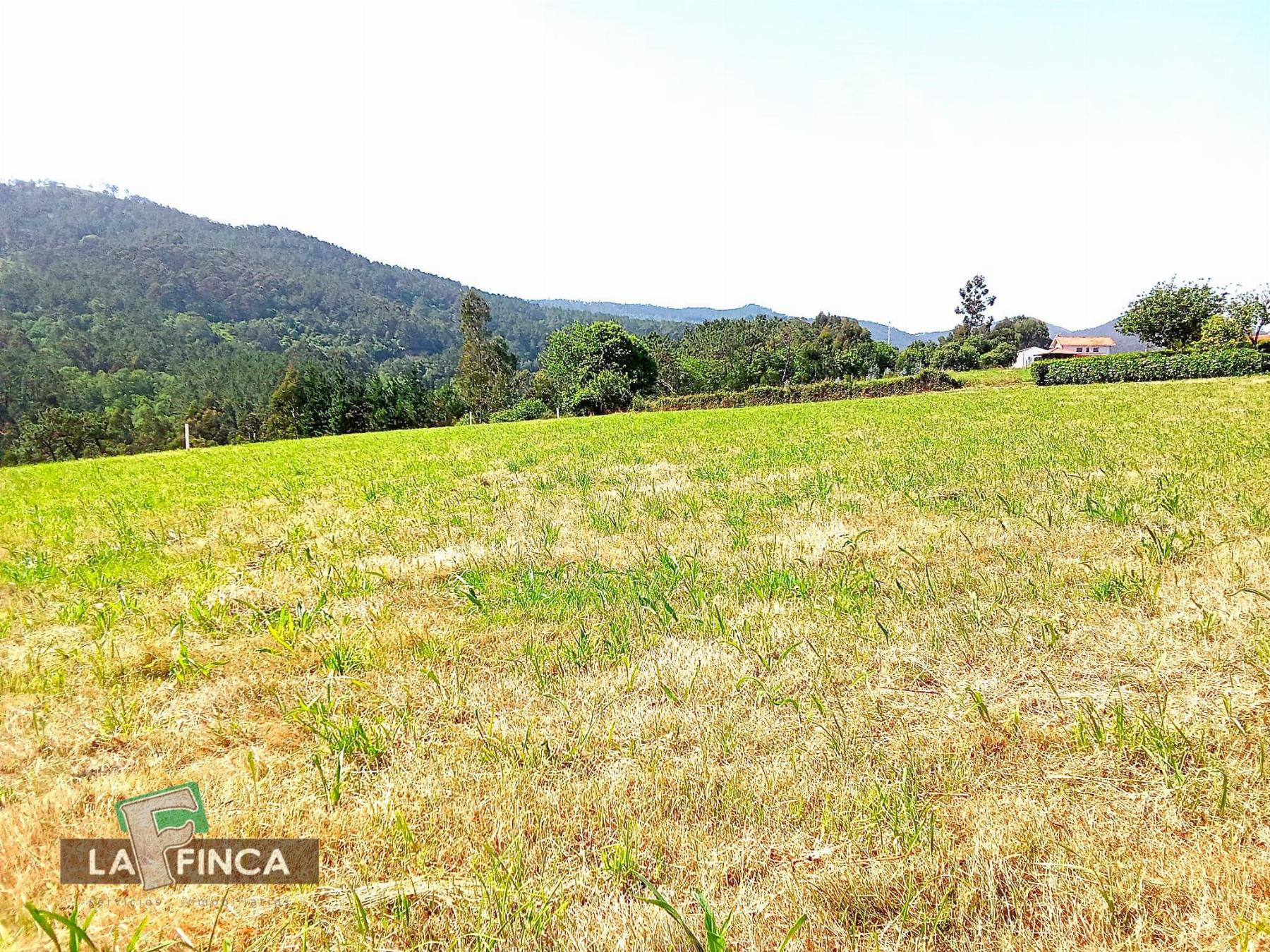 Venta de terreno en Cudillero Concejo