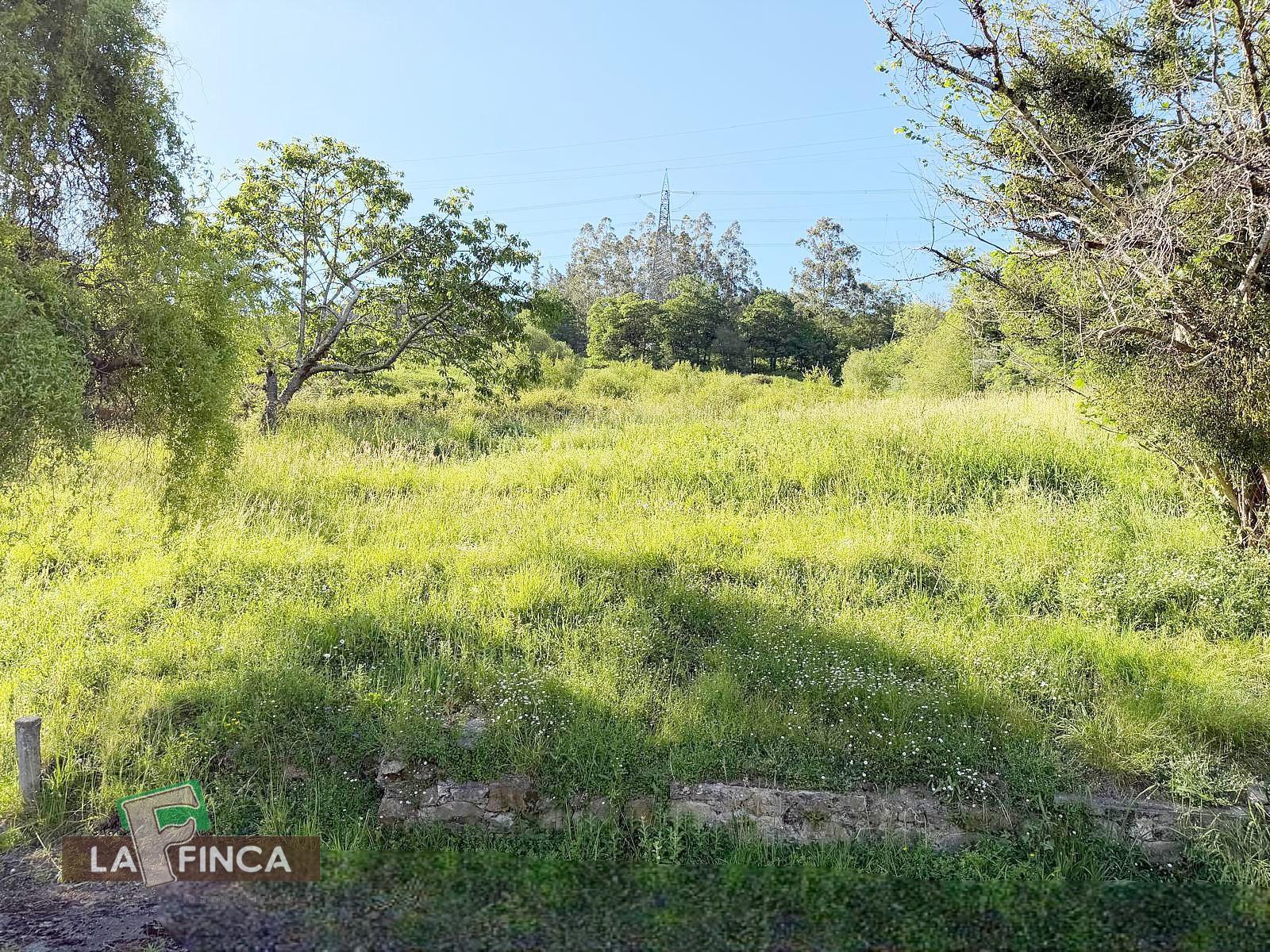 Venta de casa en Cangas de Onís Concejo
