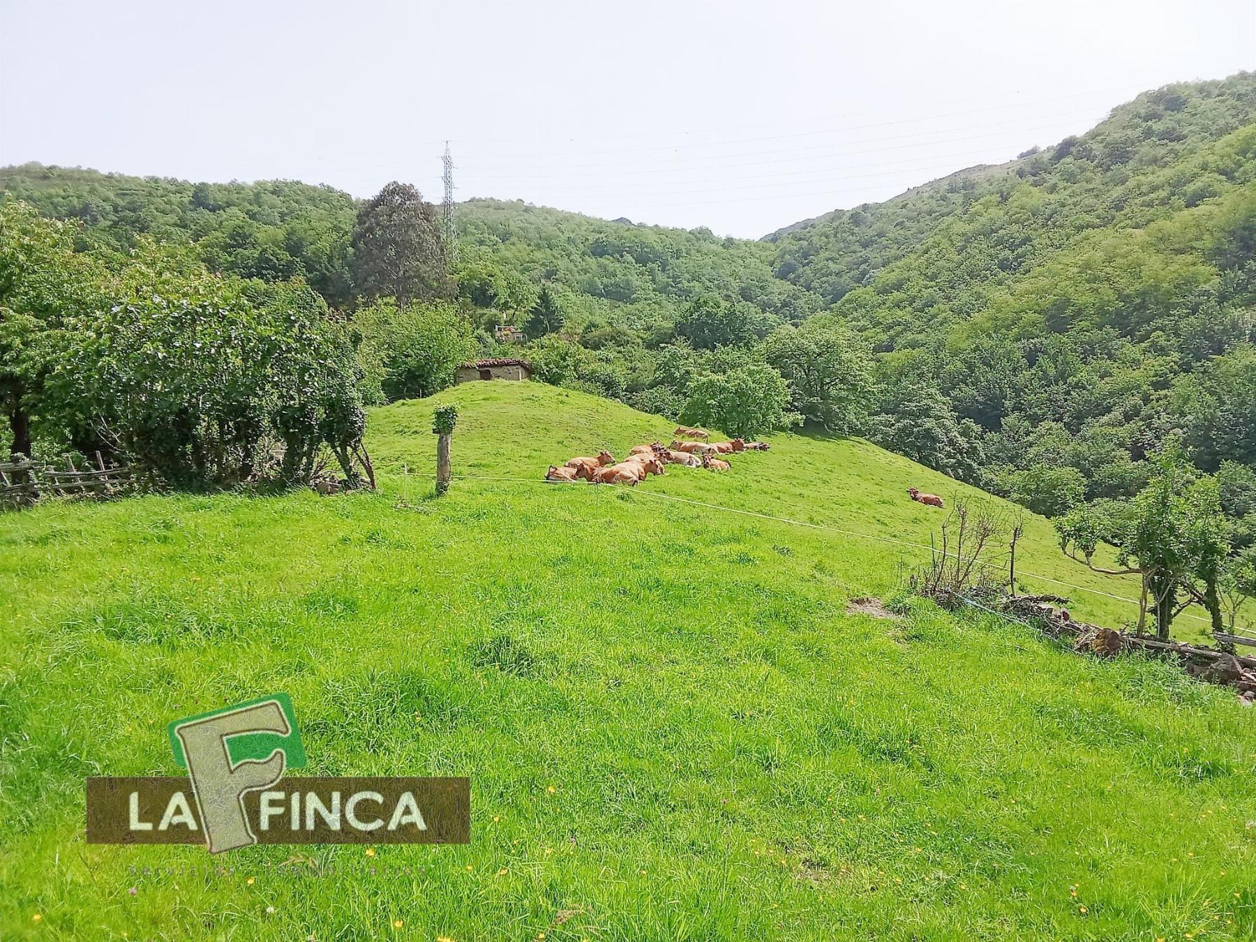 Venta de terreno en Lena