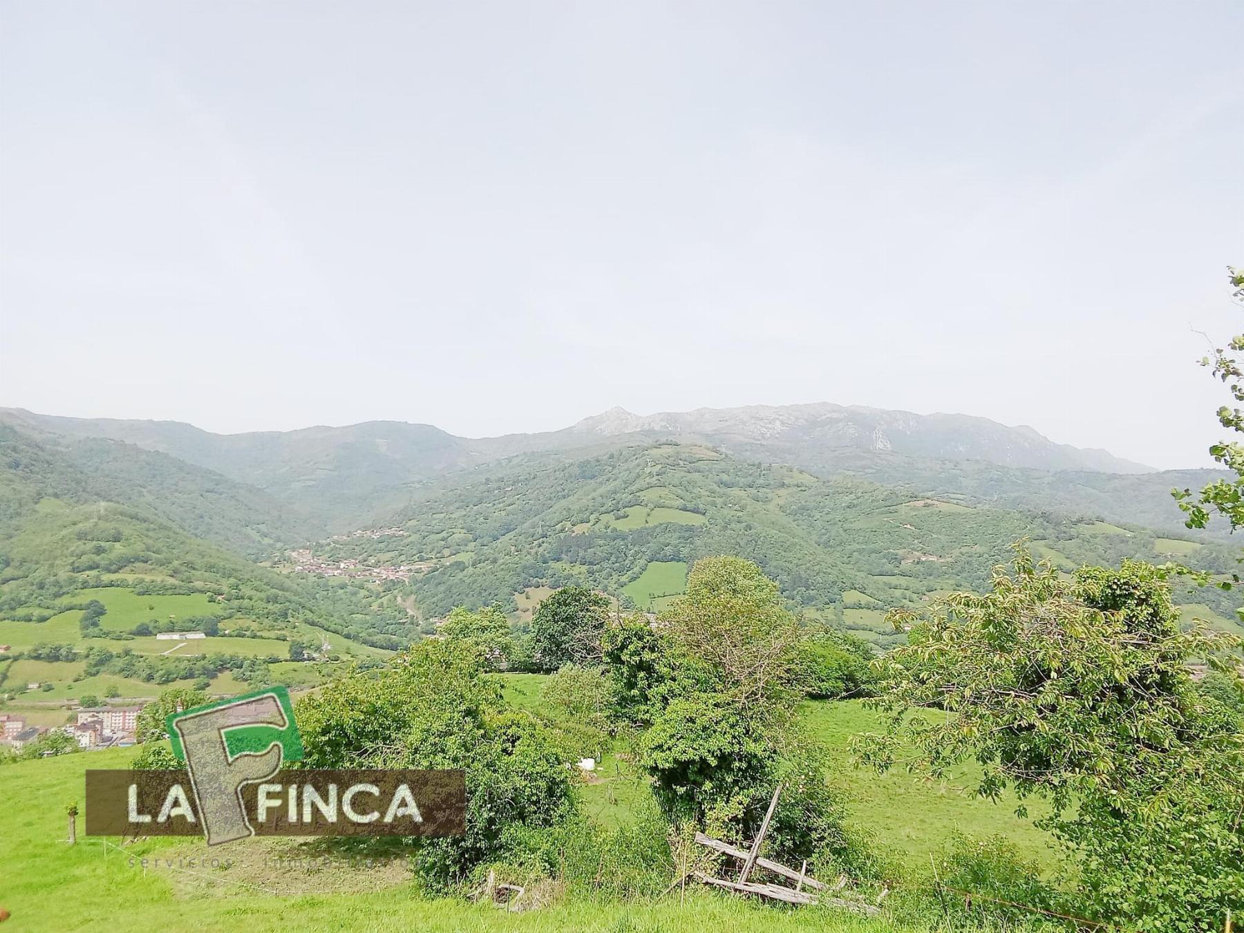 Venta de terreno en Lena