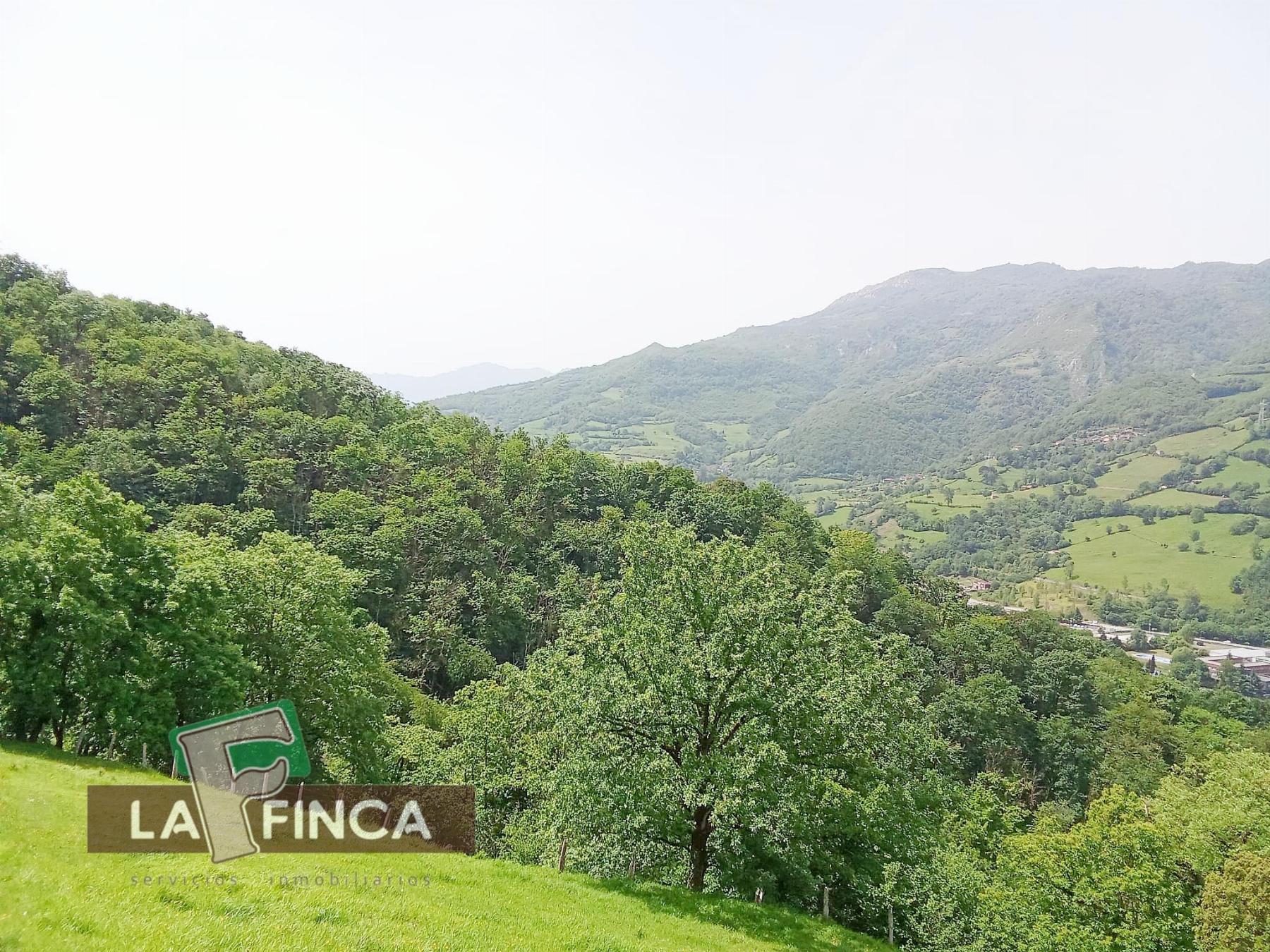 Venta de terreno en Lena