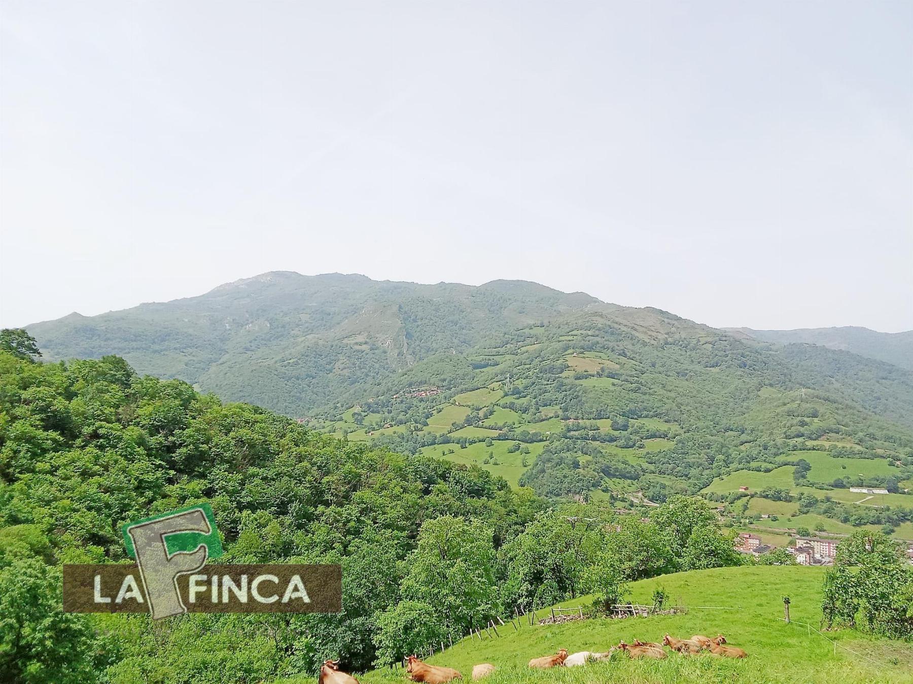 Venta de terreno en Lena